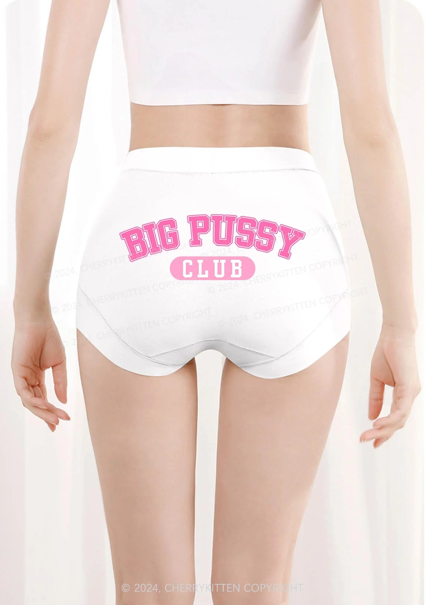 Big Puxxy Club Y2K Mid Rise Waist Boyshort Cherrykitten - Image 3
