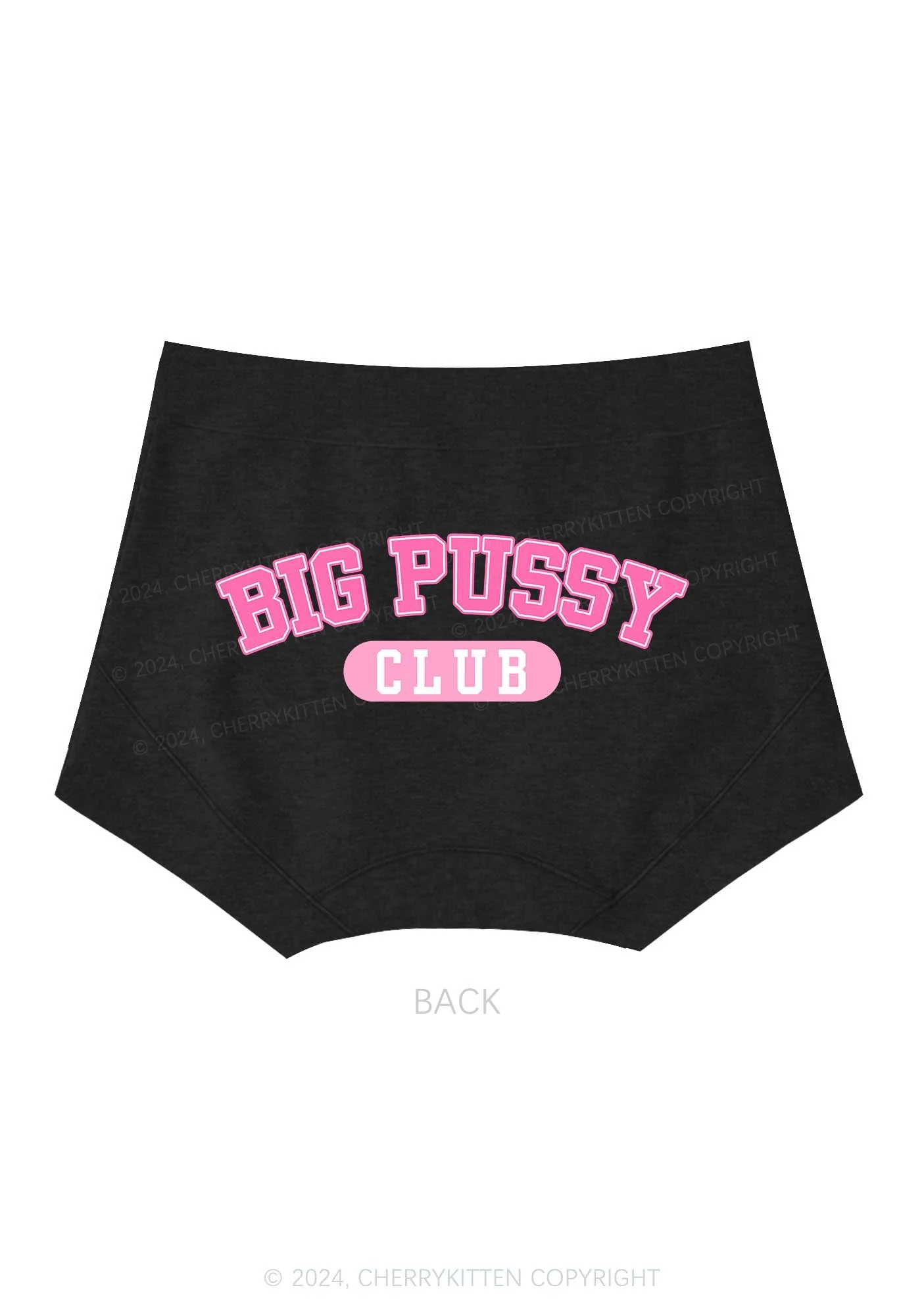 Big Puxxy Club Y2K Mid Rise Waist Boyshort Cherrykitten - Image 4