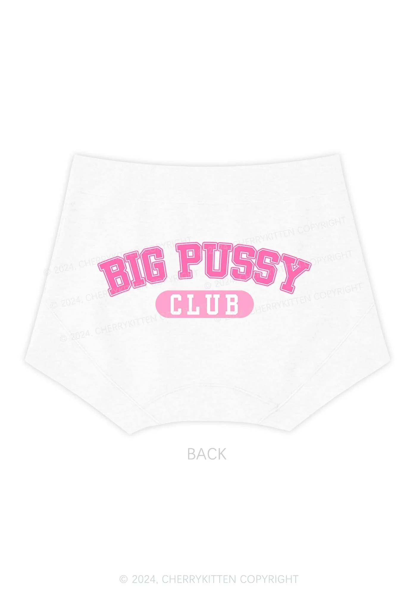 Big Puxxy Club Y2K Mid Rise Waist Boyshort Cherrykitten - Image 5