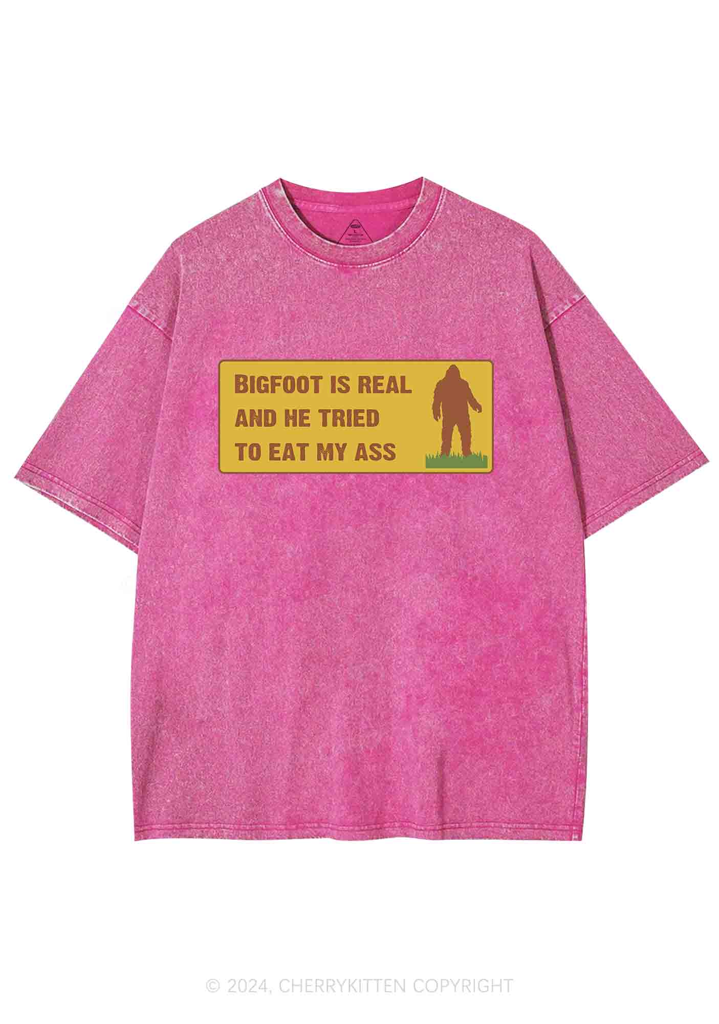Bigfoot Is Real Y2K Washed Tee Cherrykitten - Image 5