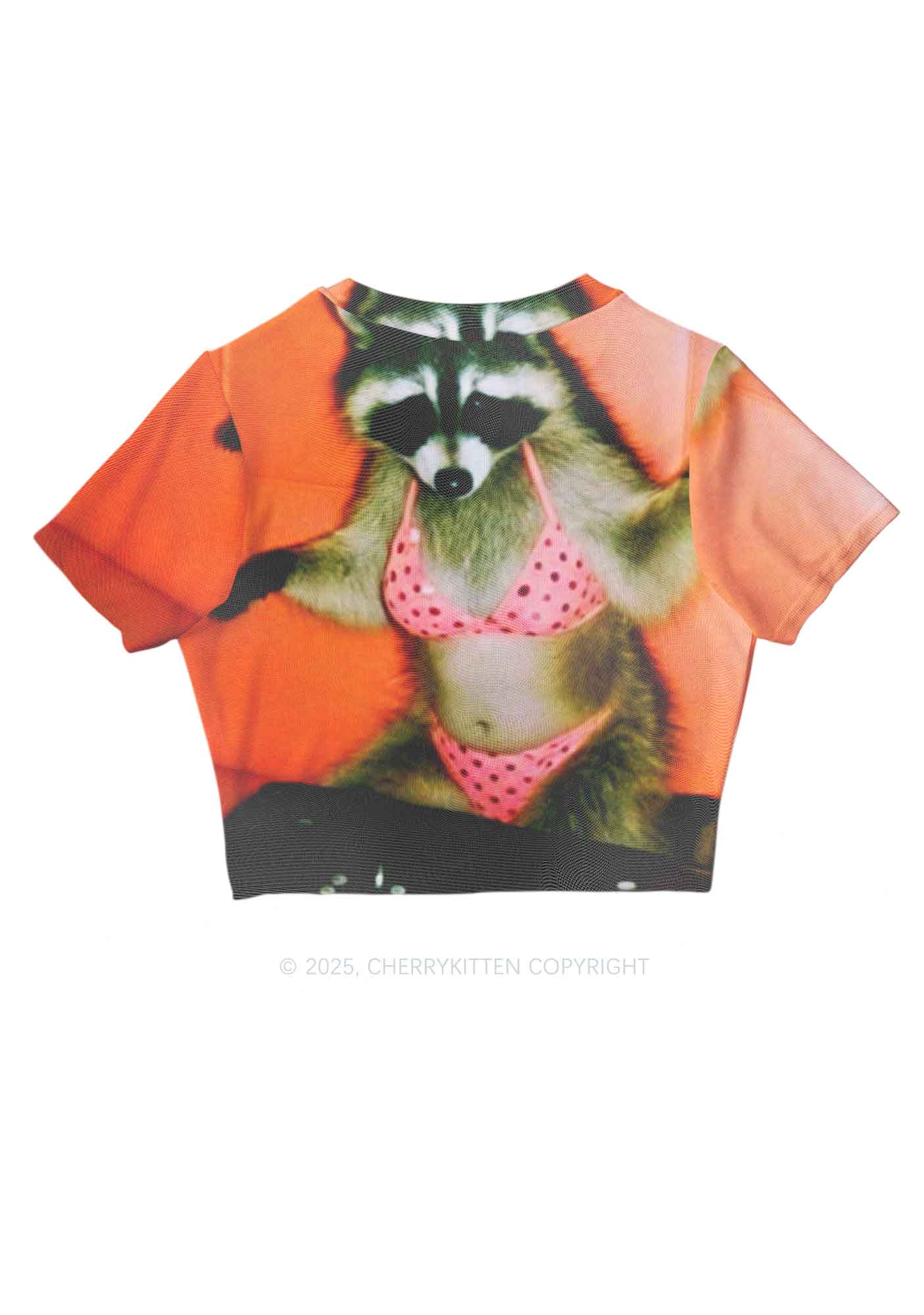 Bikini DJ Raccoon Y2K Mesh Crop Top Cherrykitten - Image 3
