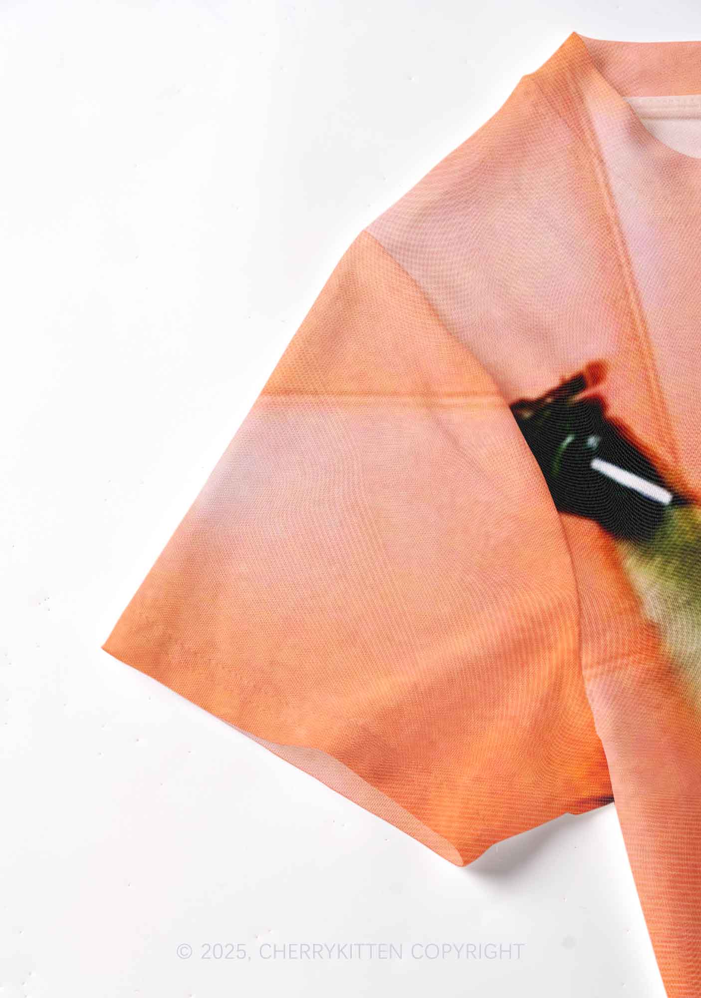 Bikini DJ Raccoon Y2K Mesh Crop Top Cherrykitten - Image 6