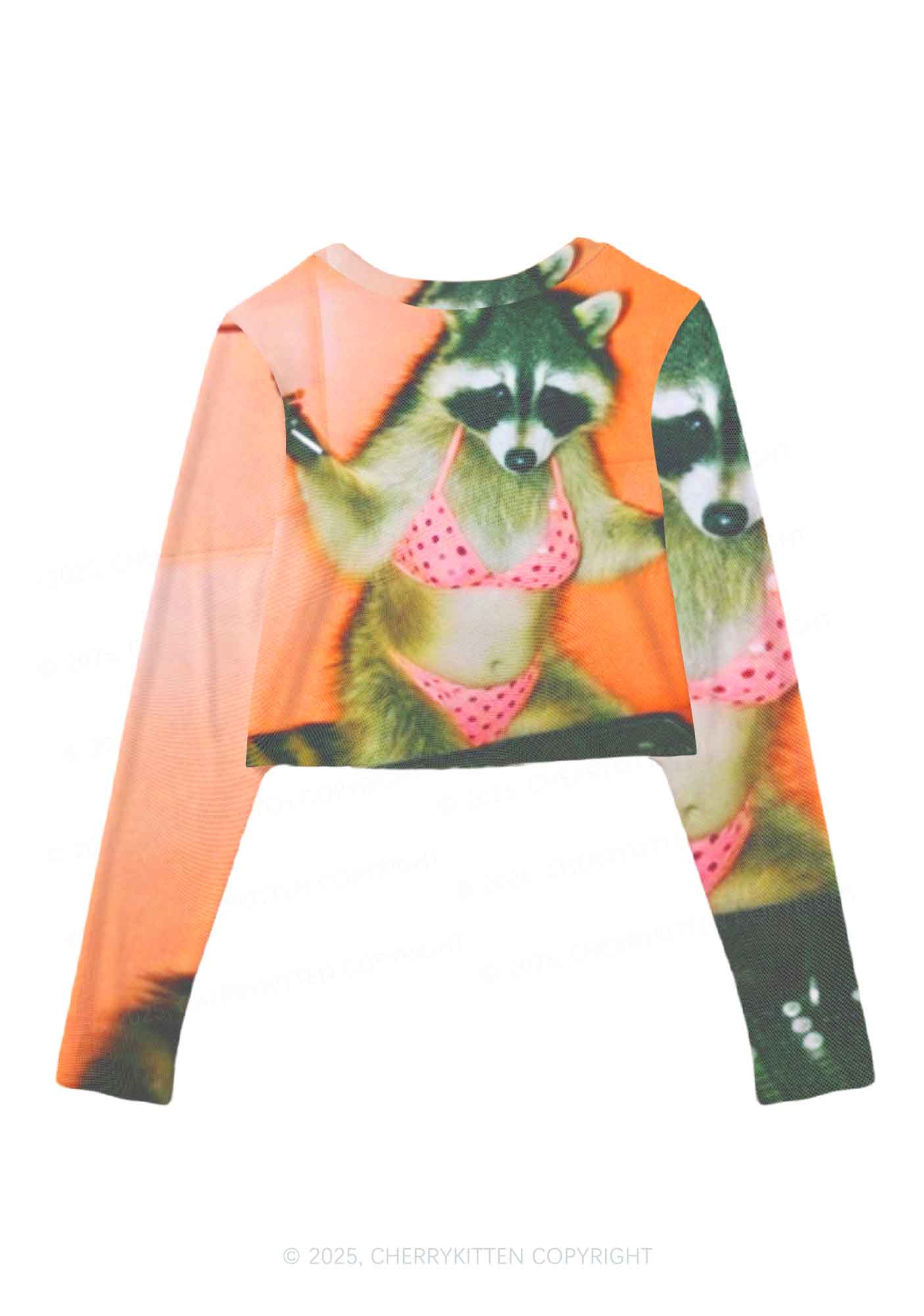 Bikini DJ Raccoon Y2K Mesh Long Sleeve Crop Top Cherrykitten - Image 3