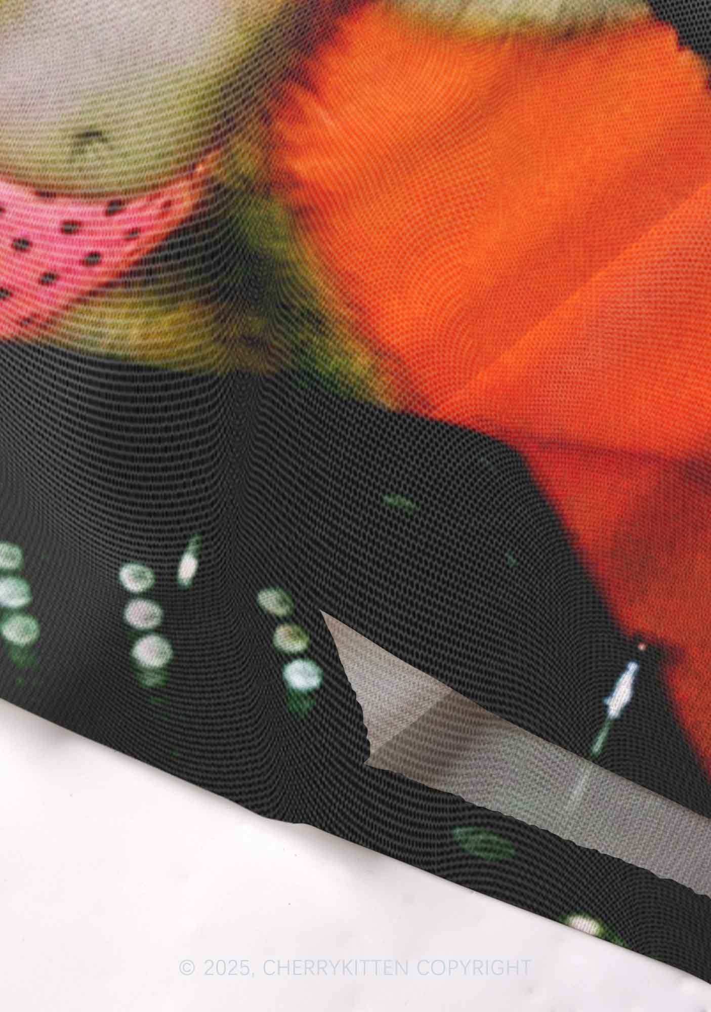 Bikini DJ Raccoon Y2K Mesh Long Sleeve Crop Top Cherrykitten - Image 4