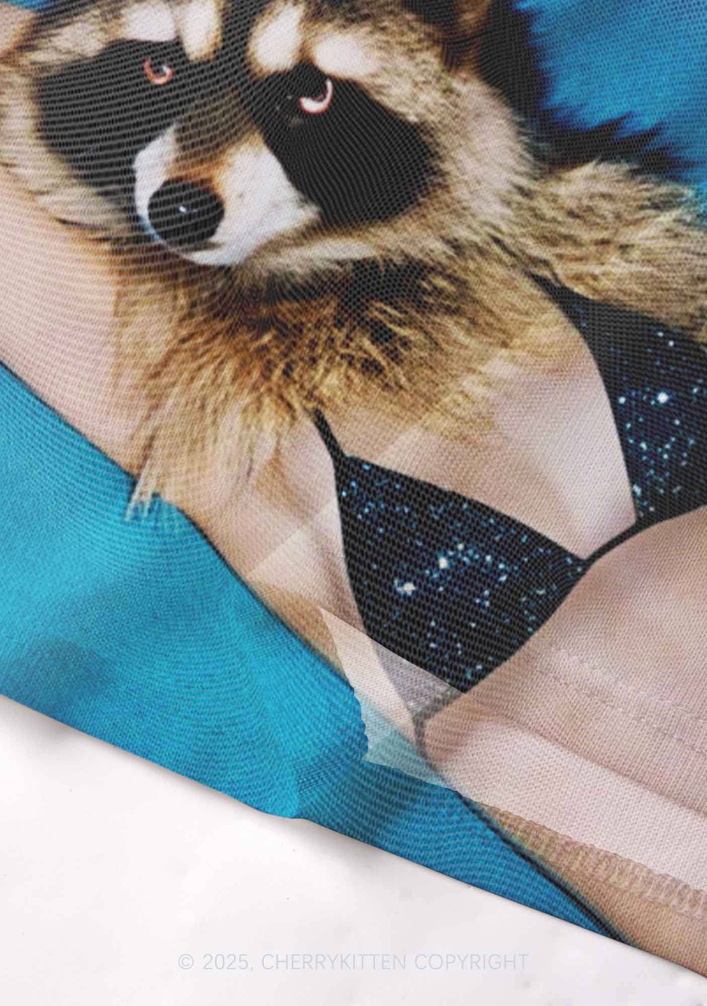 Bikini Raccoon Y2K Mesh Cami Tank Cherrykitten - Image 3