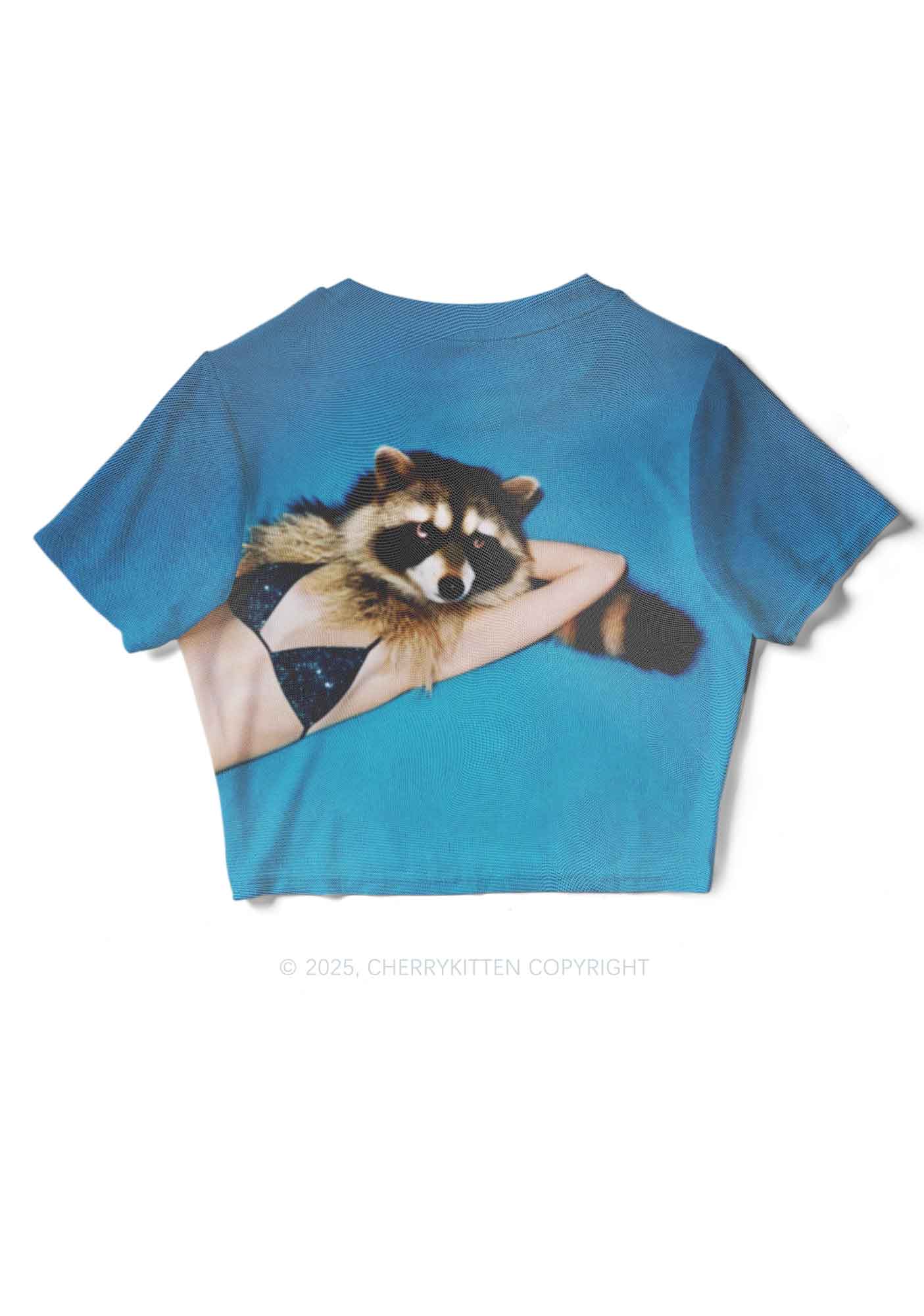 Bikini Raccoon Y2K Mesh Crop Top Cherrykitten - Image 4