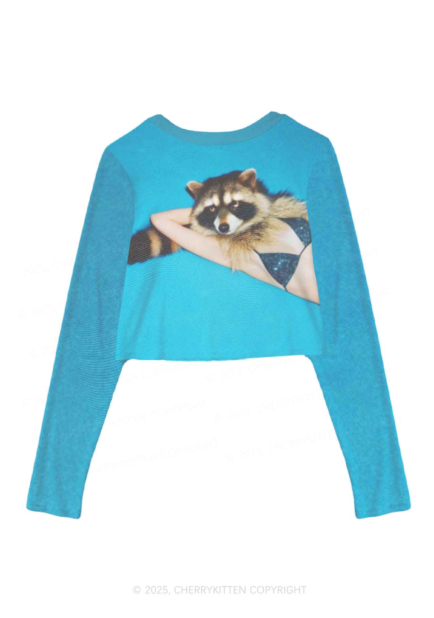 Bikini Raccoon Y2K Mesh Long Sleeve Crop Top Cherrykitten - Image 2