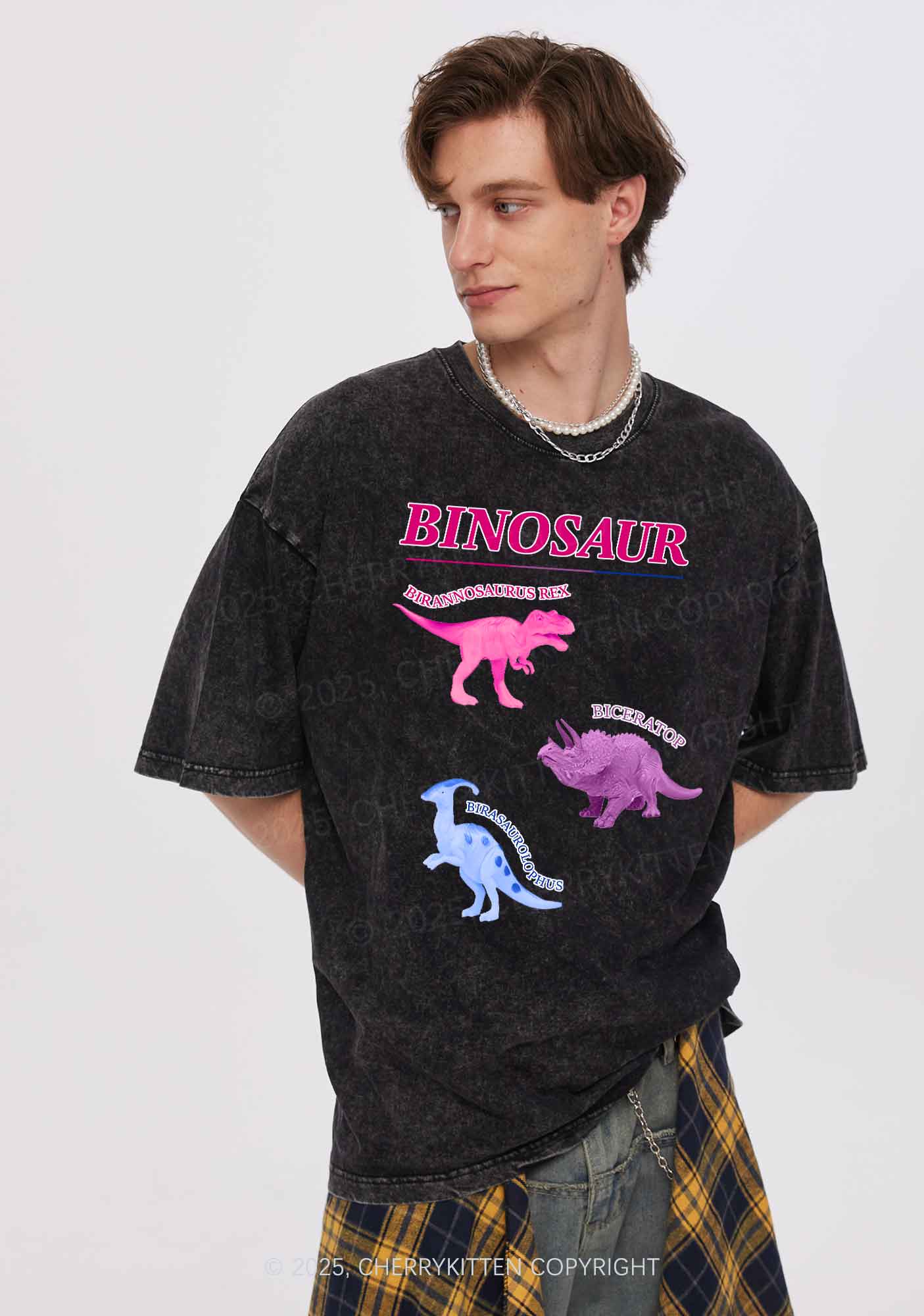 Binosaur Pride Y2K Shirts Washed Tee Cherrykitten - Image 2