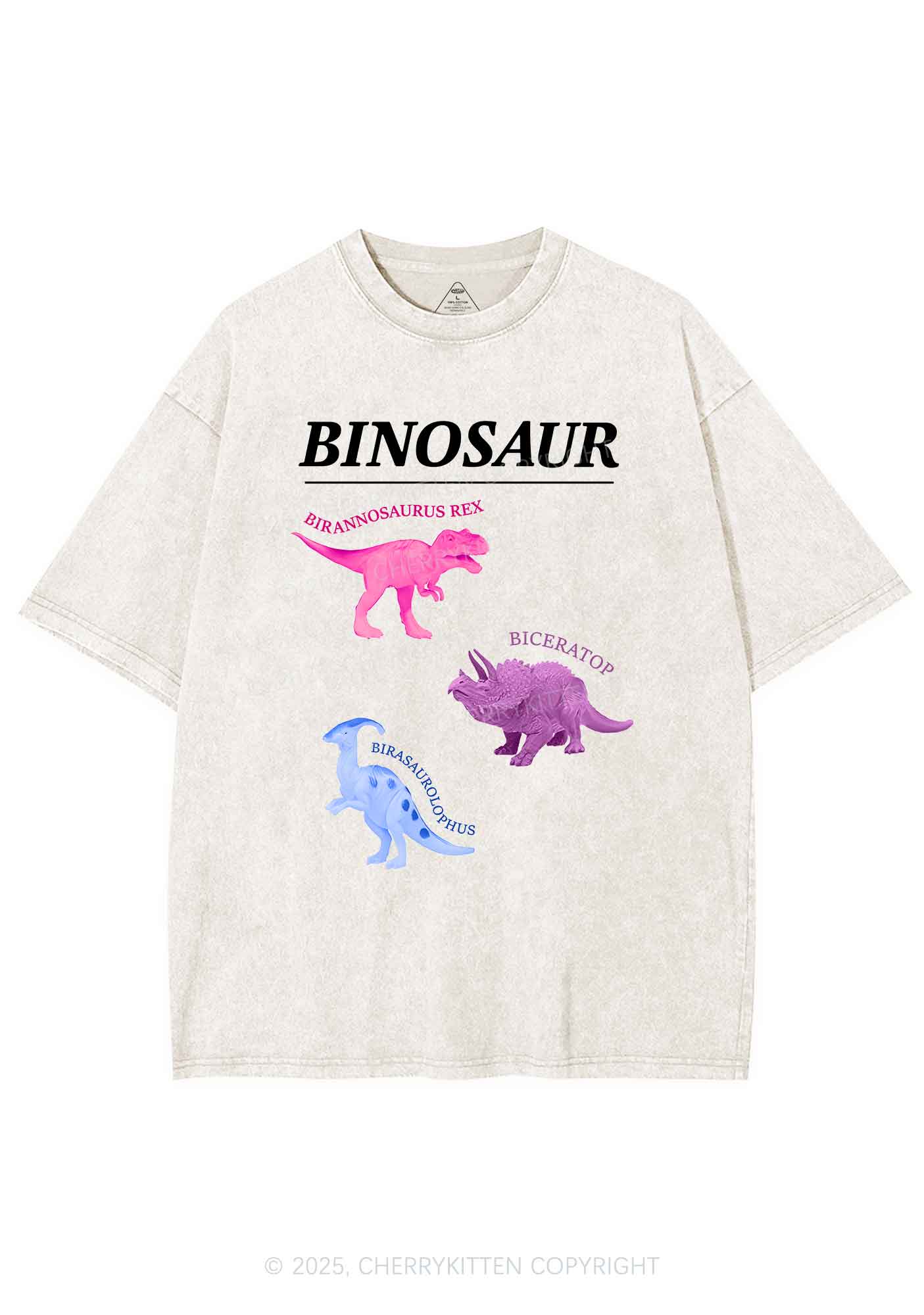Binosaur Pride Y2K Shirts Washed Tee Cherrykitten - Image 3