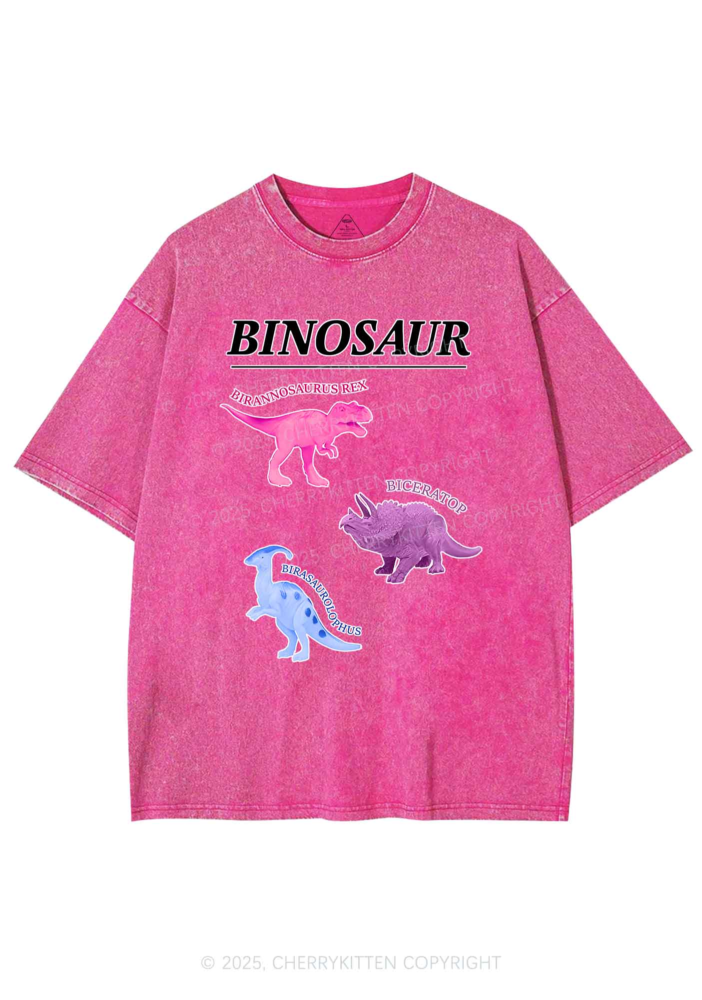 Binosaur Pride Y2K Shirts Washed Tee Cherrykitten - Image 4