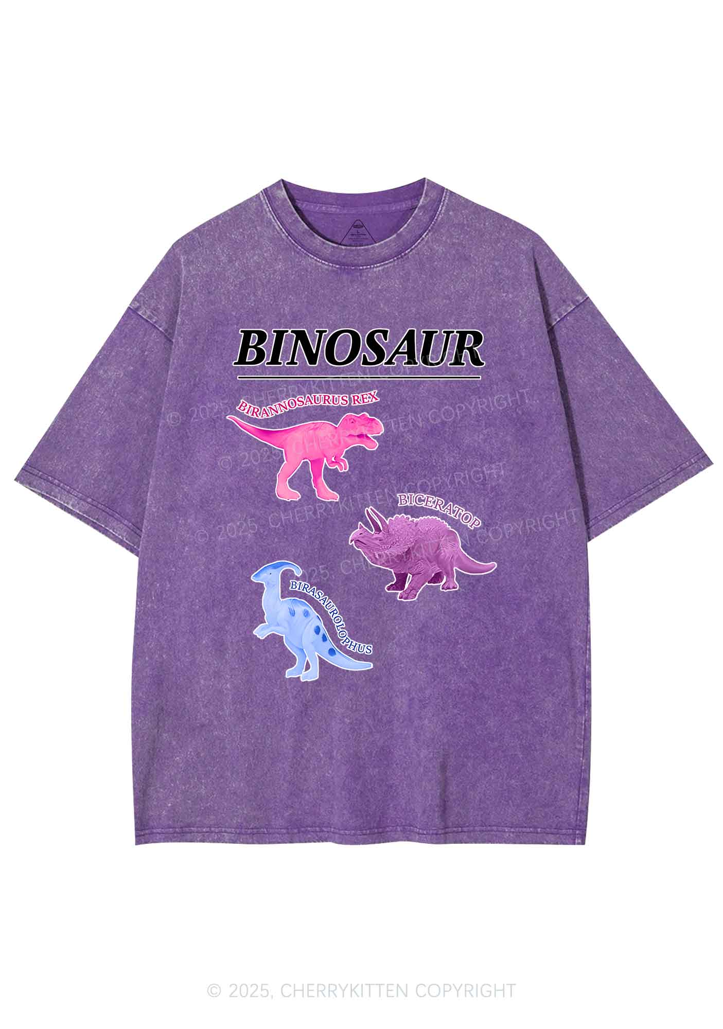 Binosaur Pride Y2K Shirts Washed Tee Cherrykitten - Image 5
