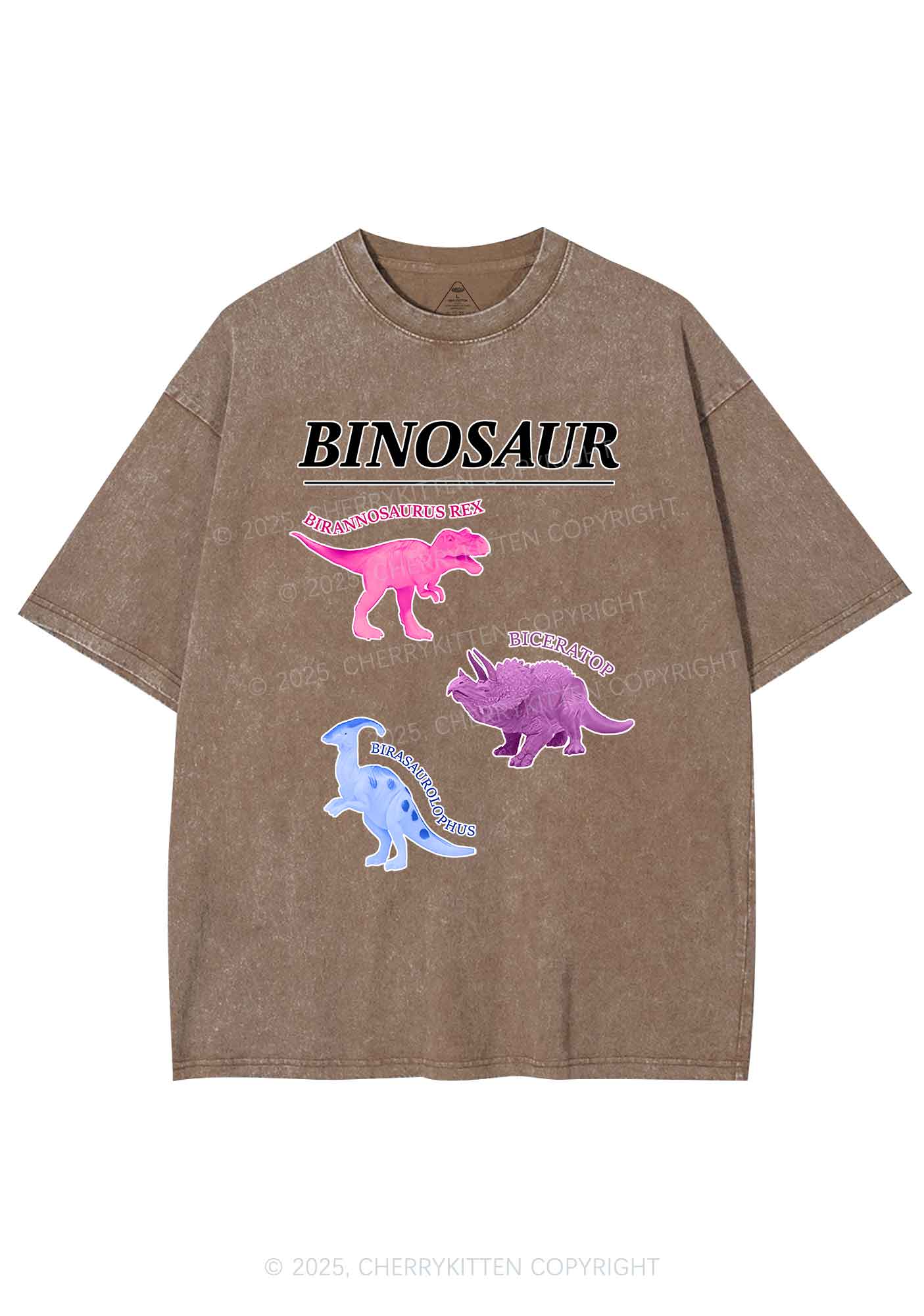 Binosaur Pride Y2K Shirts Washed Tee Cherrykitten - Image 6