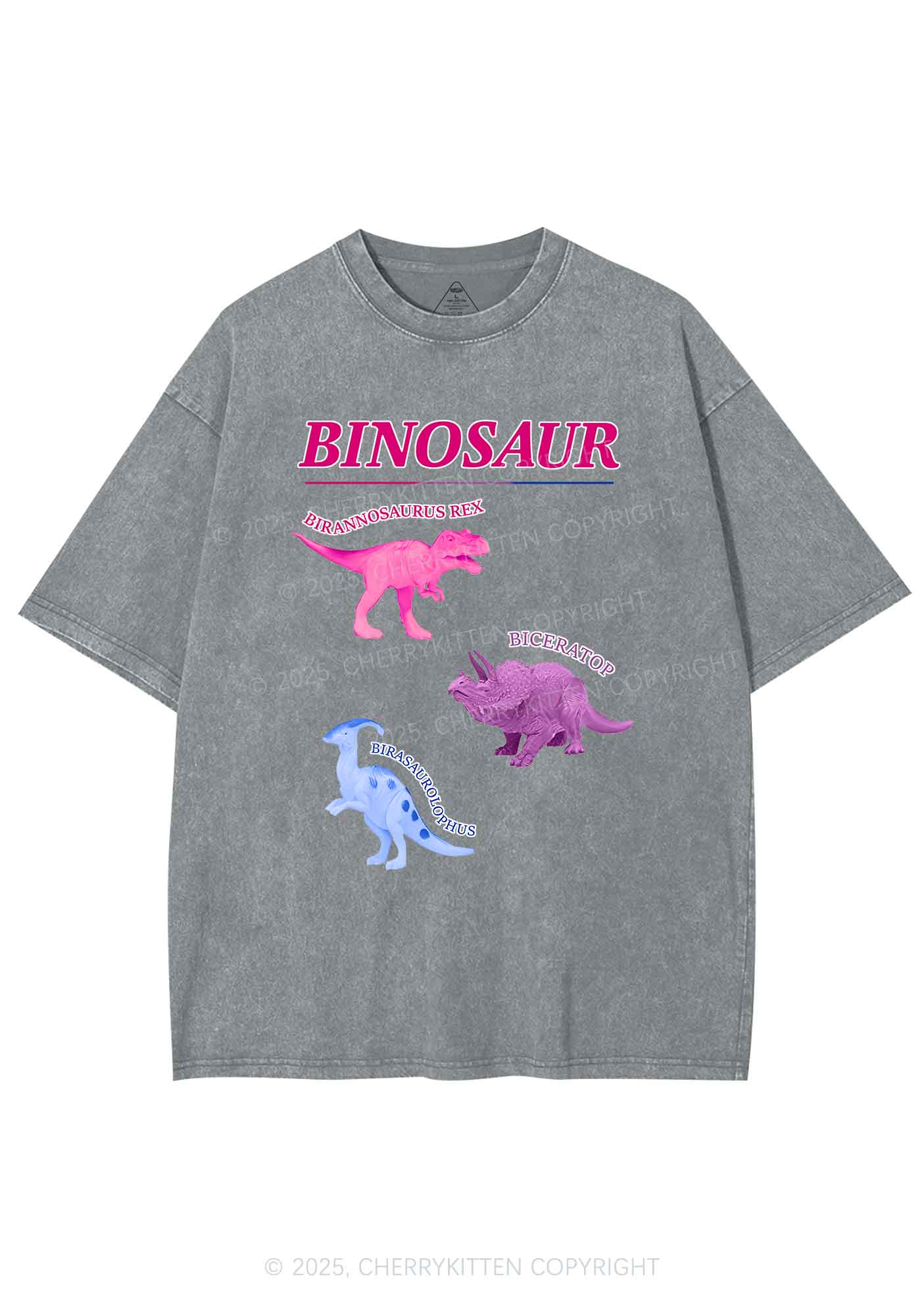 Binosaur Pride Y2K Shirts Washed Tee Cherrykitten - Image 7