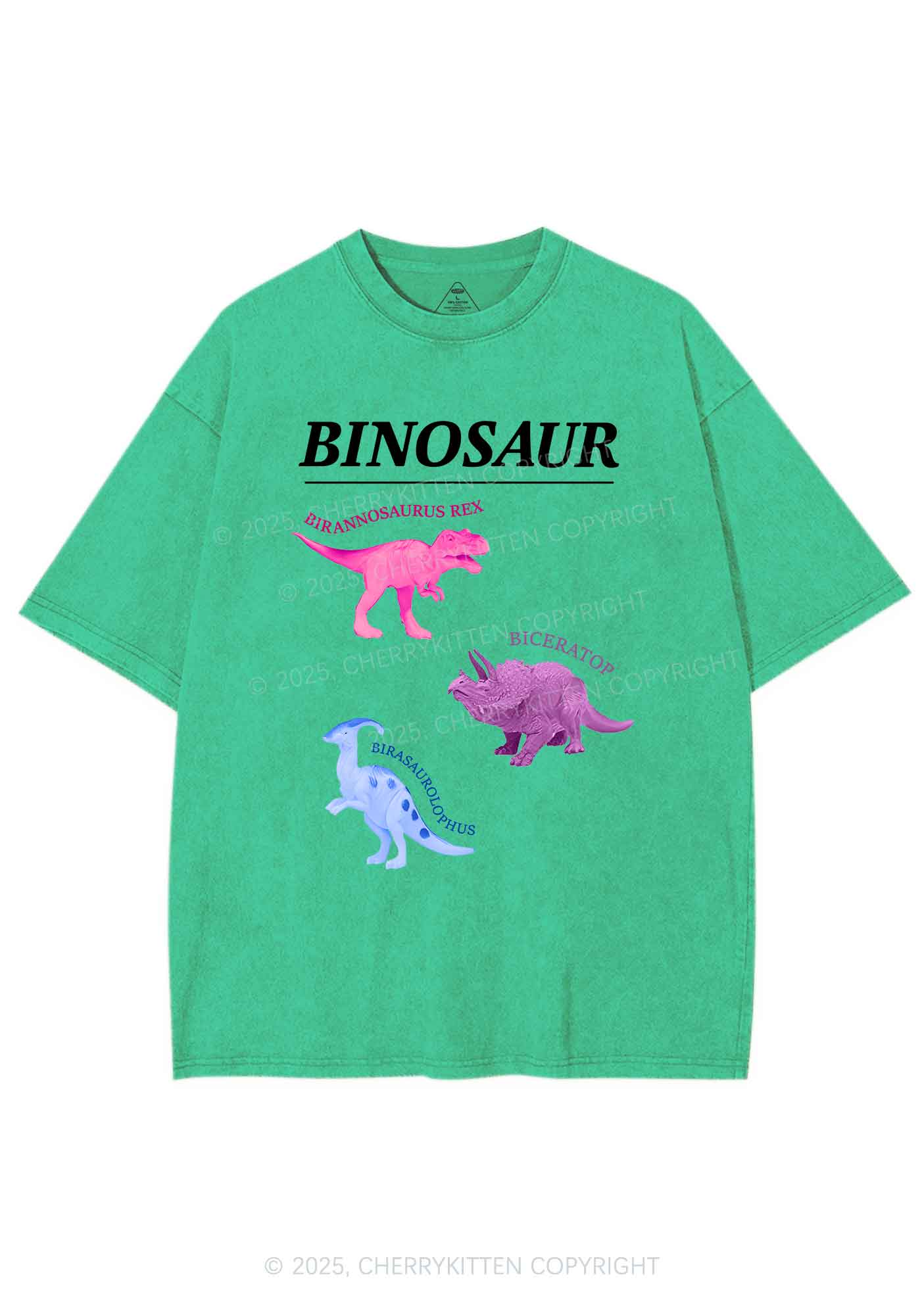 Binosaur Pride Y2K Shirts Washed Tee Cherrykitten - Image 8