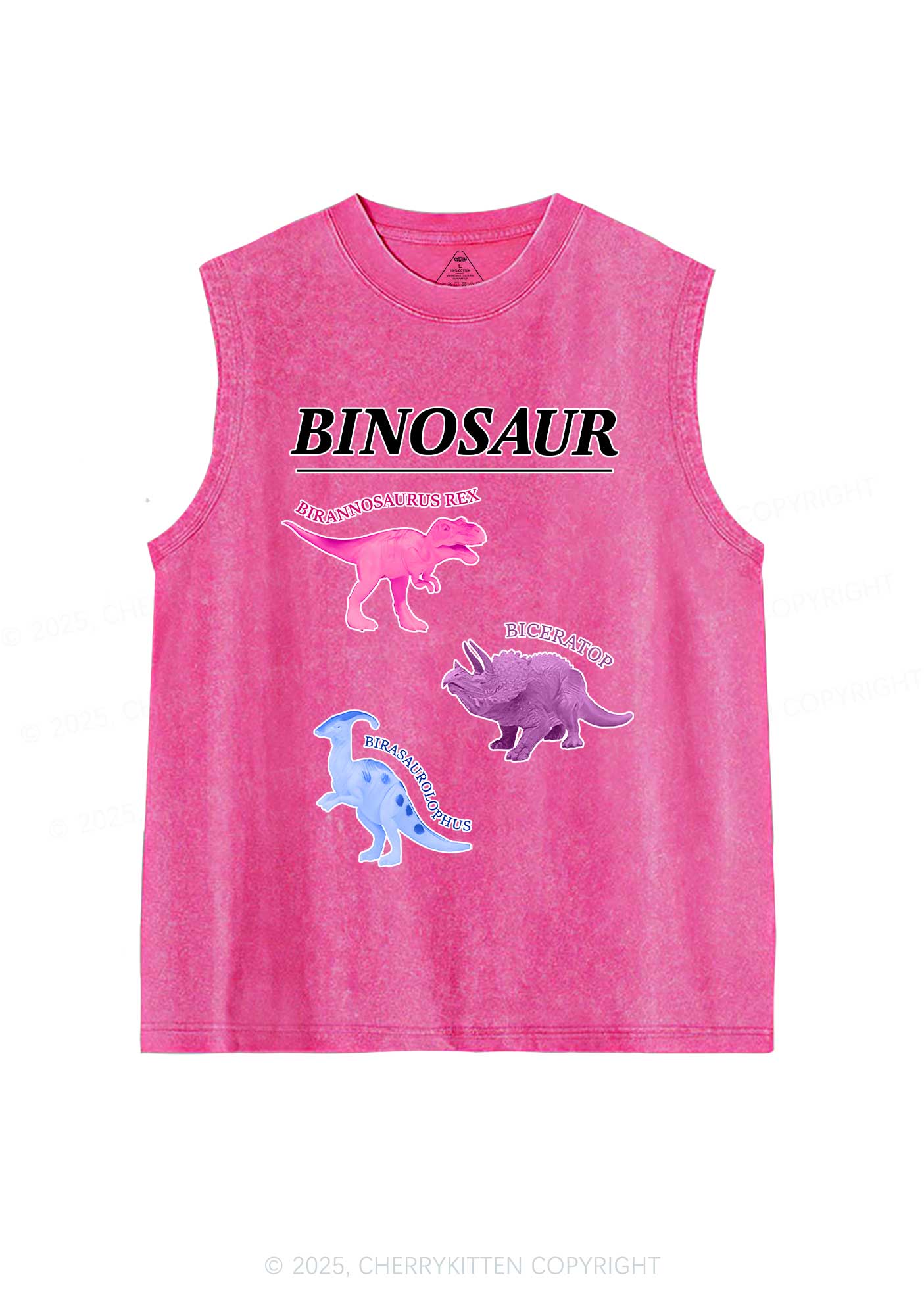 Binosaur Pride Y2K Washed Muscle Tank Cherrykitten - Image 4