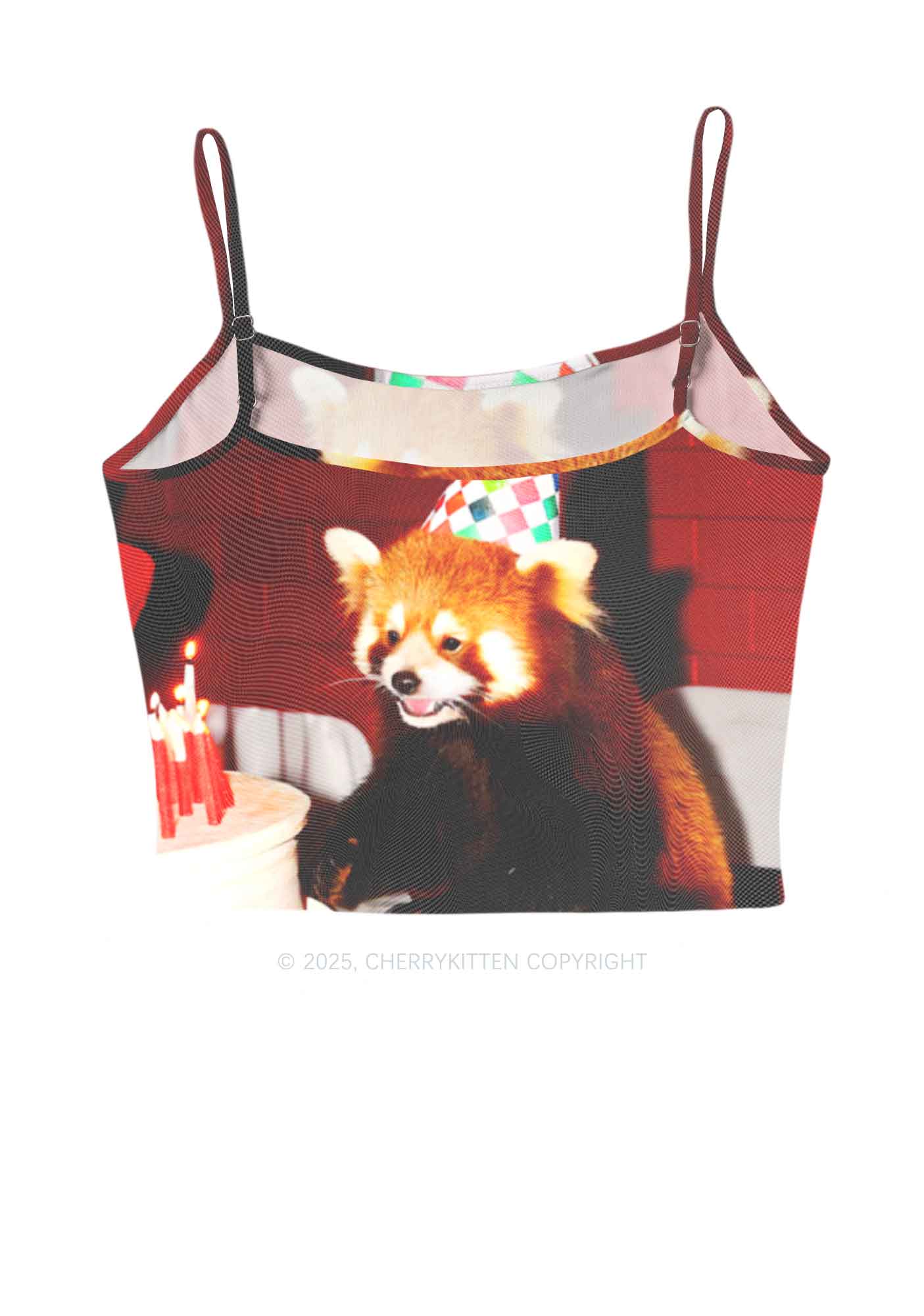 Birthday Cake Raccoon Y2K Mesh Cami Tank Cherrykitten - Image 3