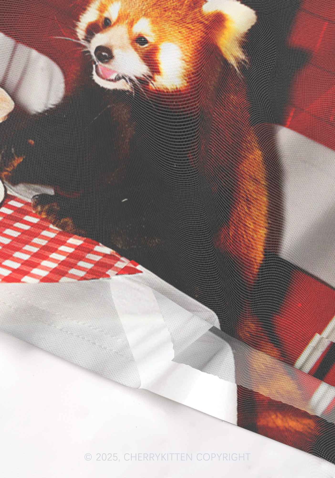 Birthday Cake Raccoon Y2K Mesh Cami Tank Cherrykitten - Image 4