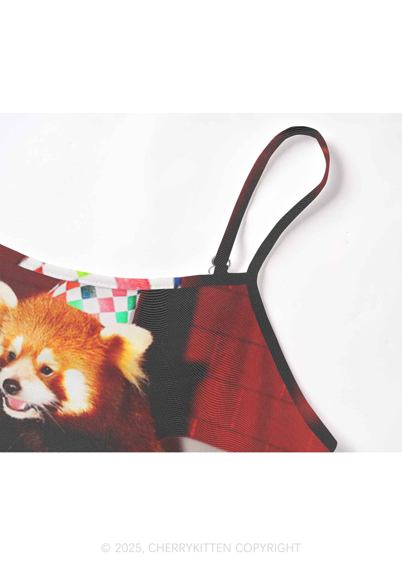 Birthday Cake Raccoon Y2K Mesh Cami Tank Cherrykitten - Image 5
