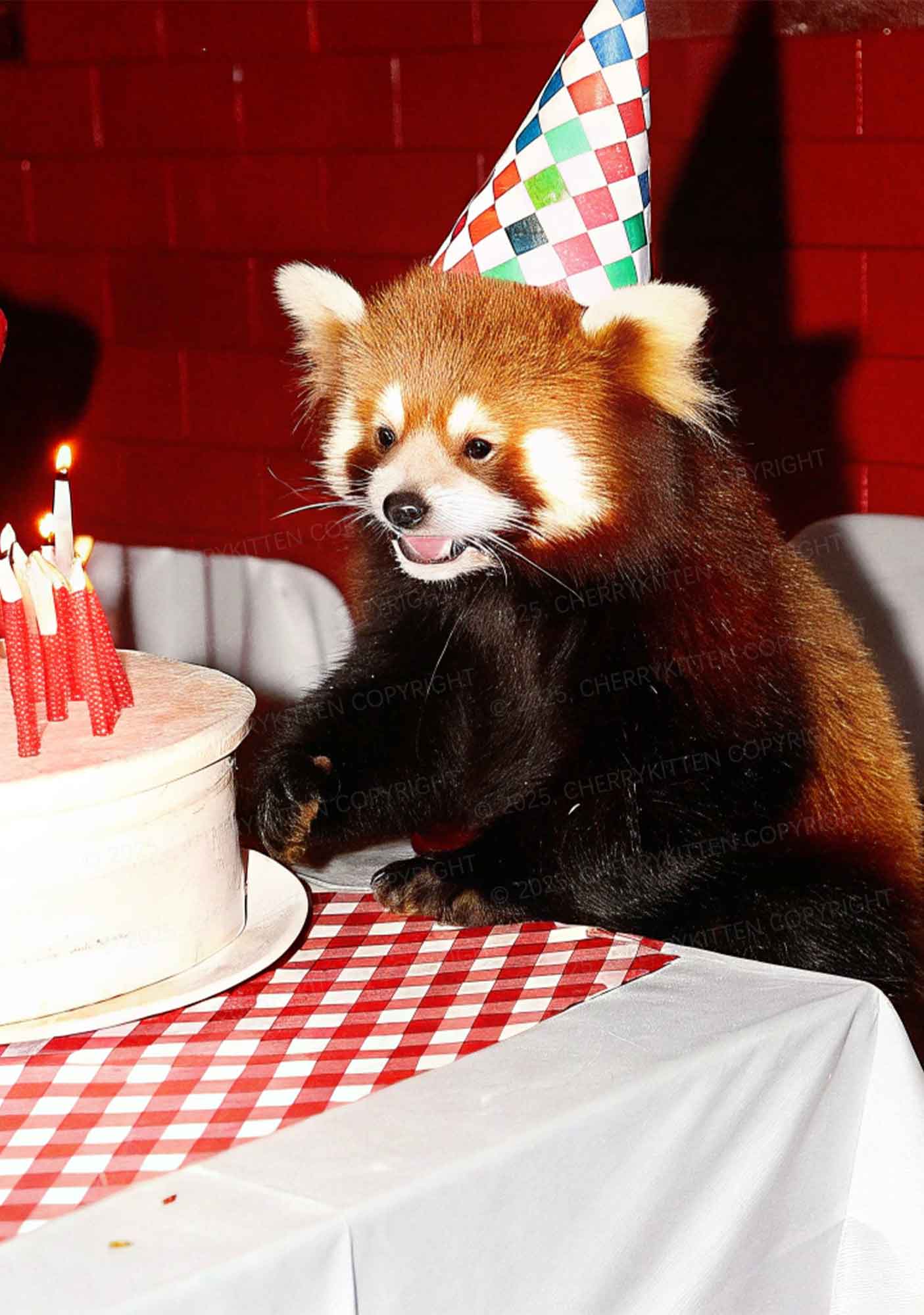Birthday Cake Raccoon Y2K Mesh Crop Top Cherrykitten - Image 2