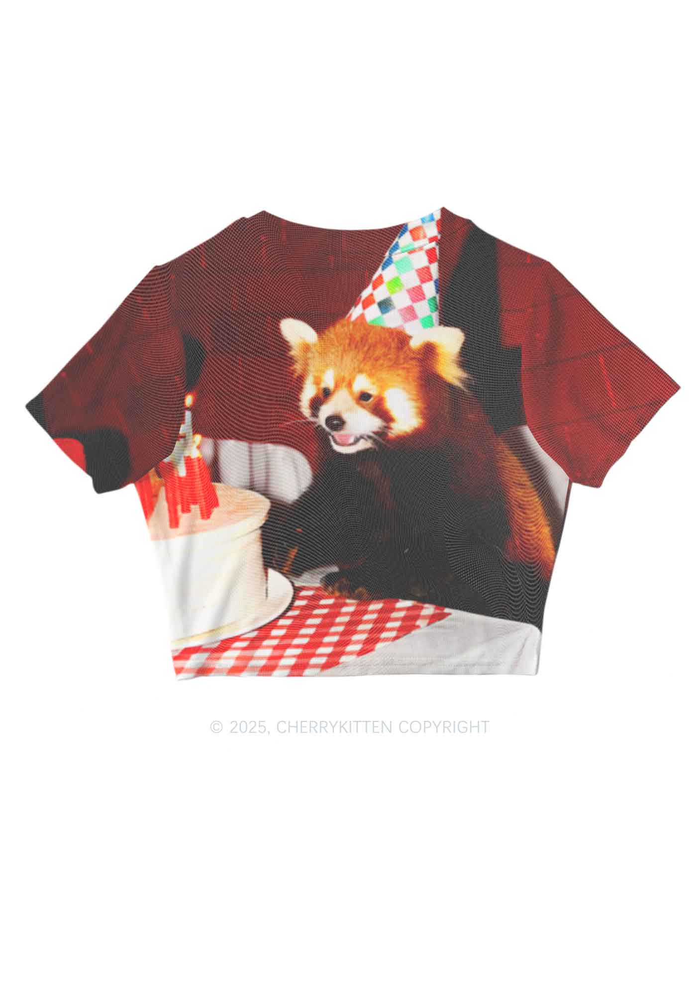 Birthday Cake Raccoon Y2K Mesh Crop Top Cherrykitten - Image 3