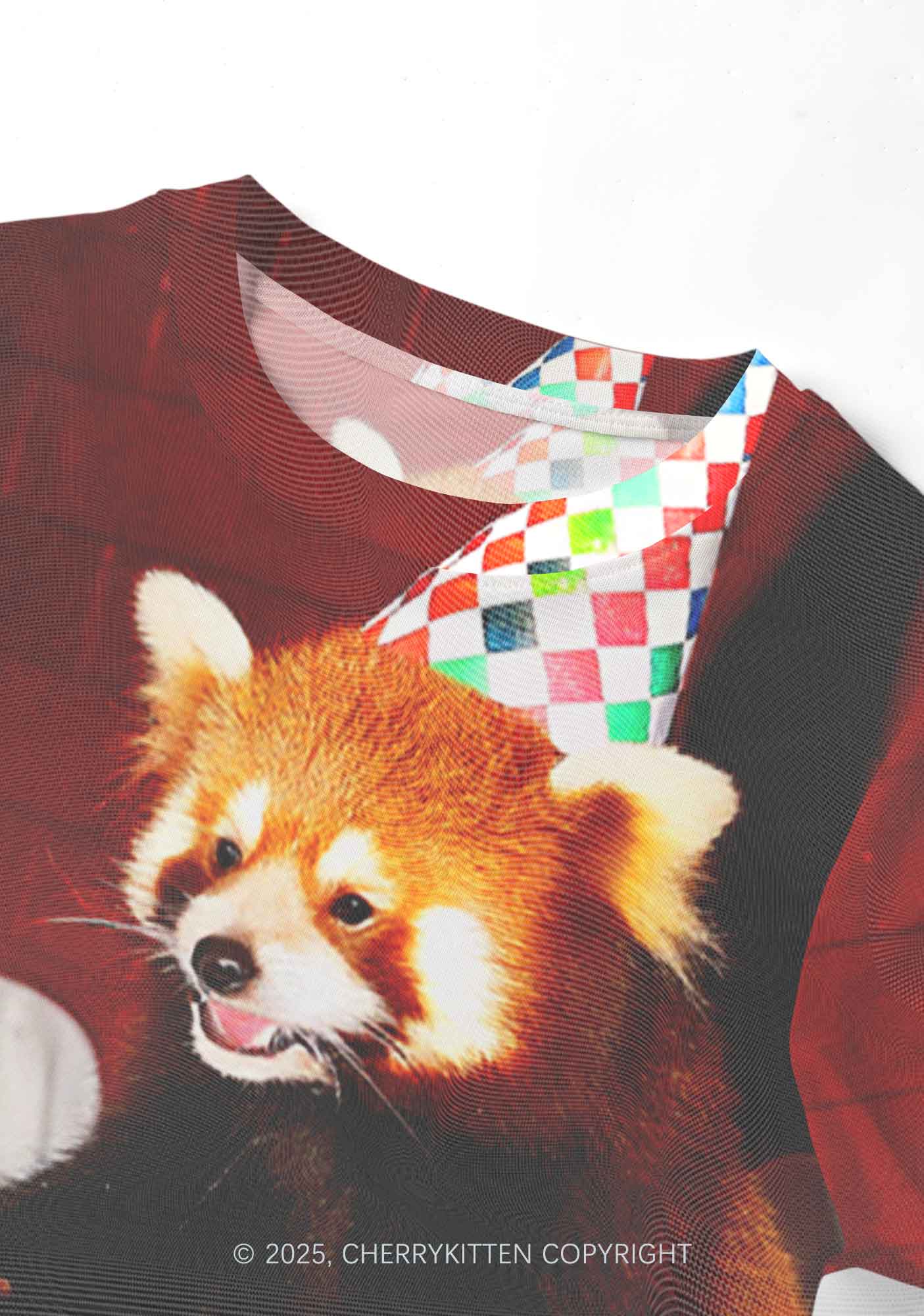 Birthday Cake Raccoon Y2K Mesh Crop Top Cherrykitten - Image 4