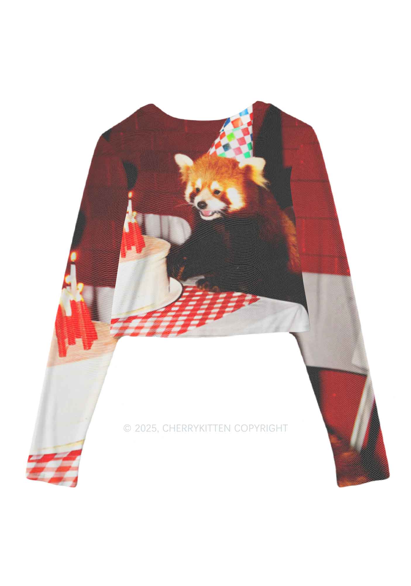 Birthday Cake Raccoon Y2K Mesh Long Sleeve Crop Top Cherrykitten - Image 3