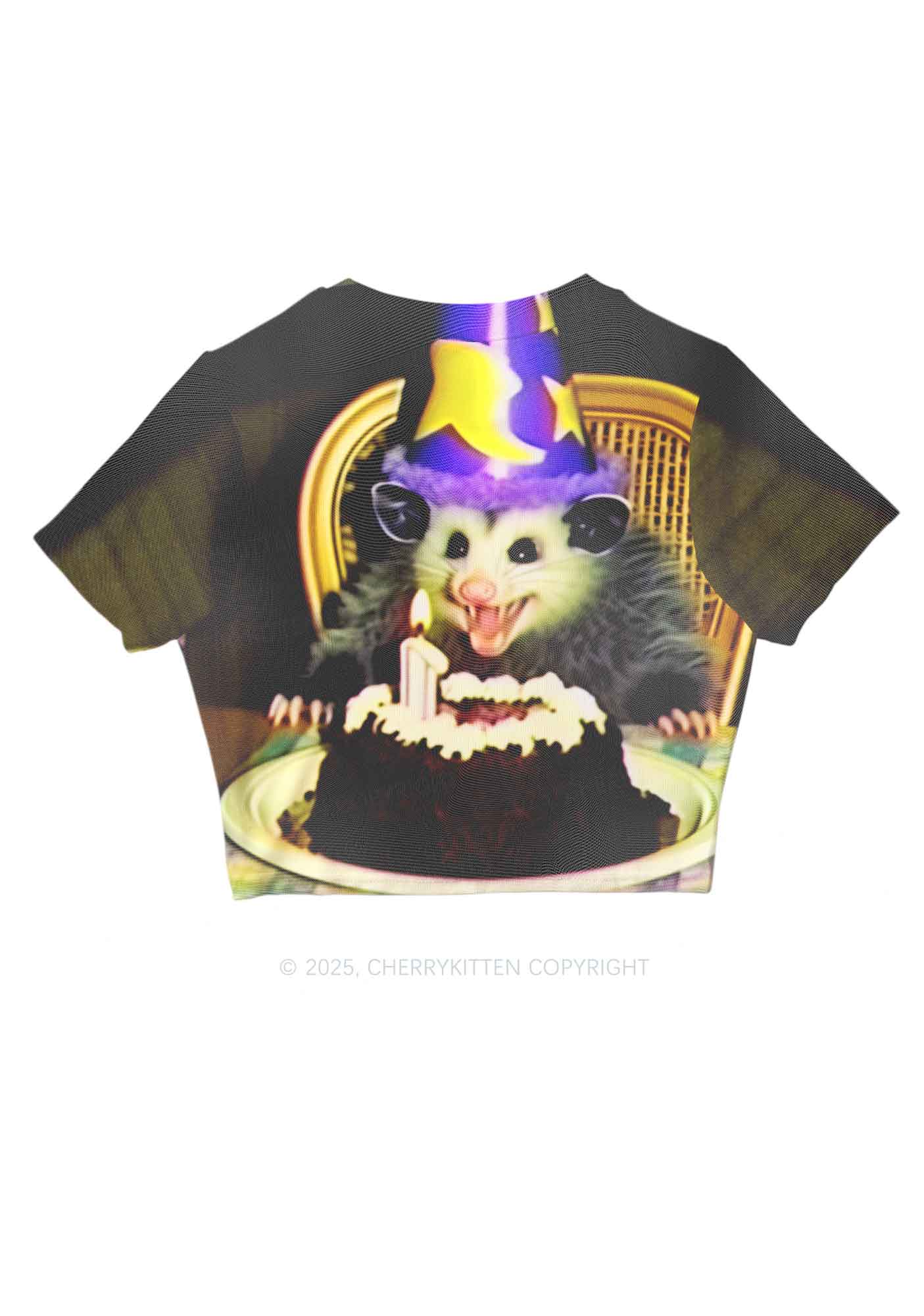 Birthday Rat Y2K Mesh Crop Top Cherrykitten - Image 2