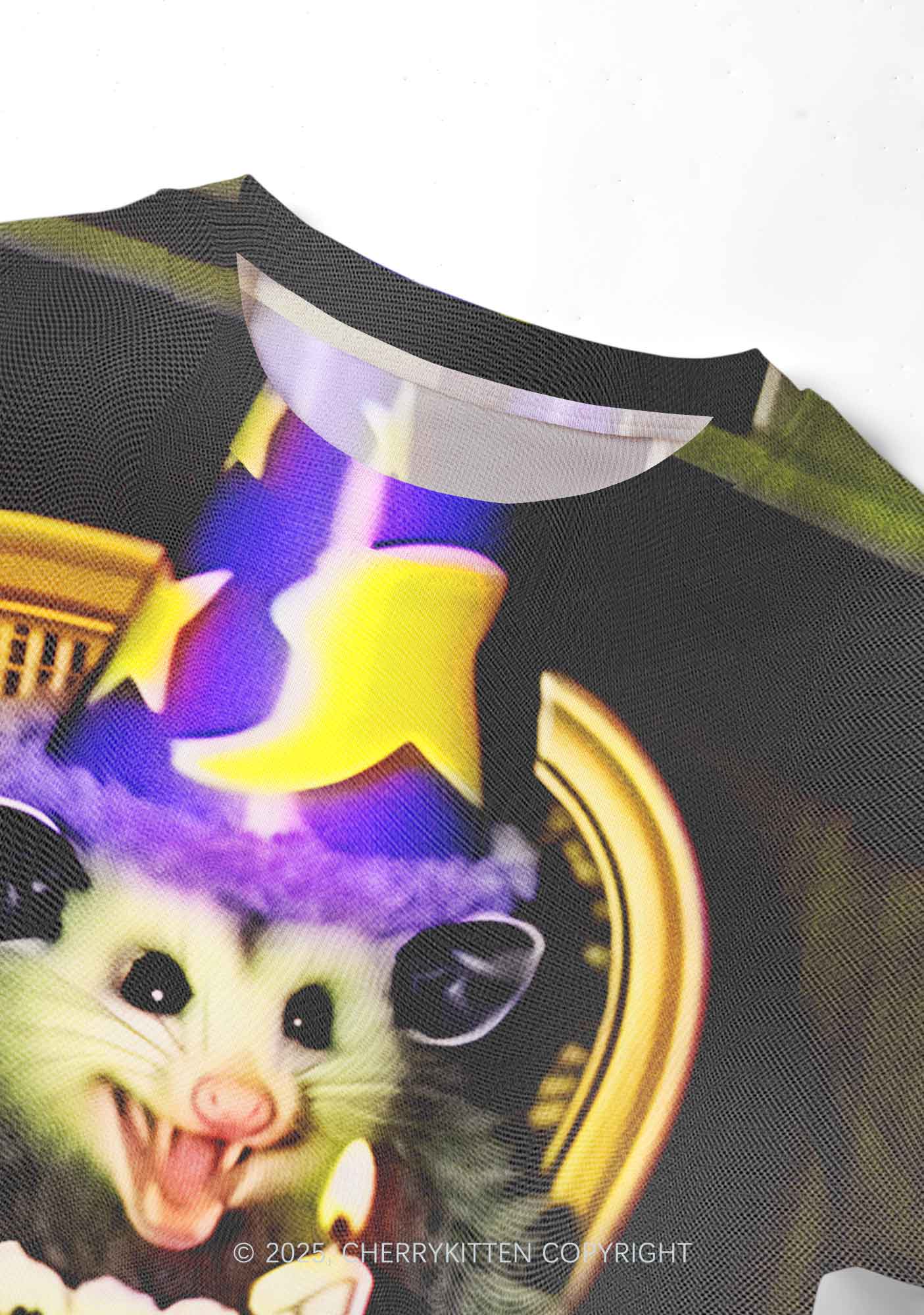 Birthday Rat Y2K Mesh Crop Top Cherrykitten - Image 4