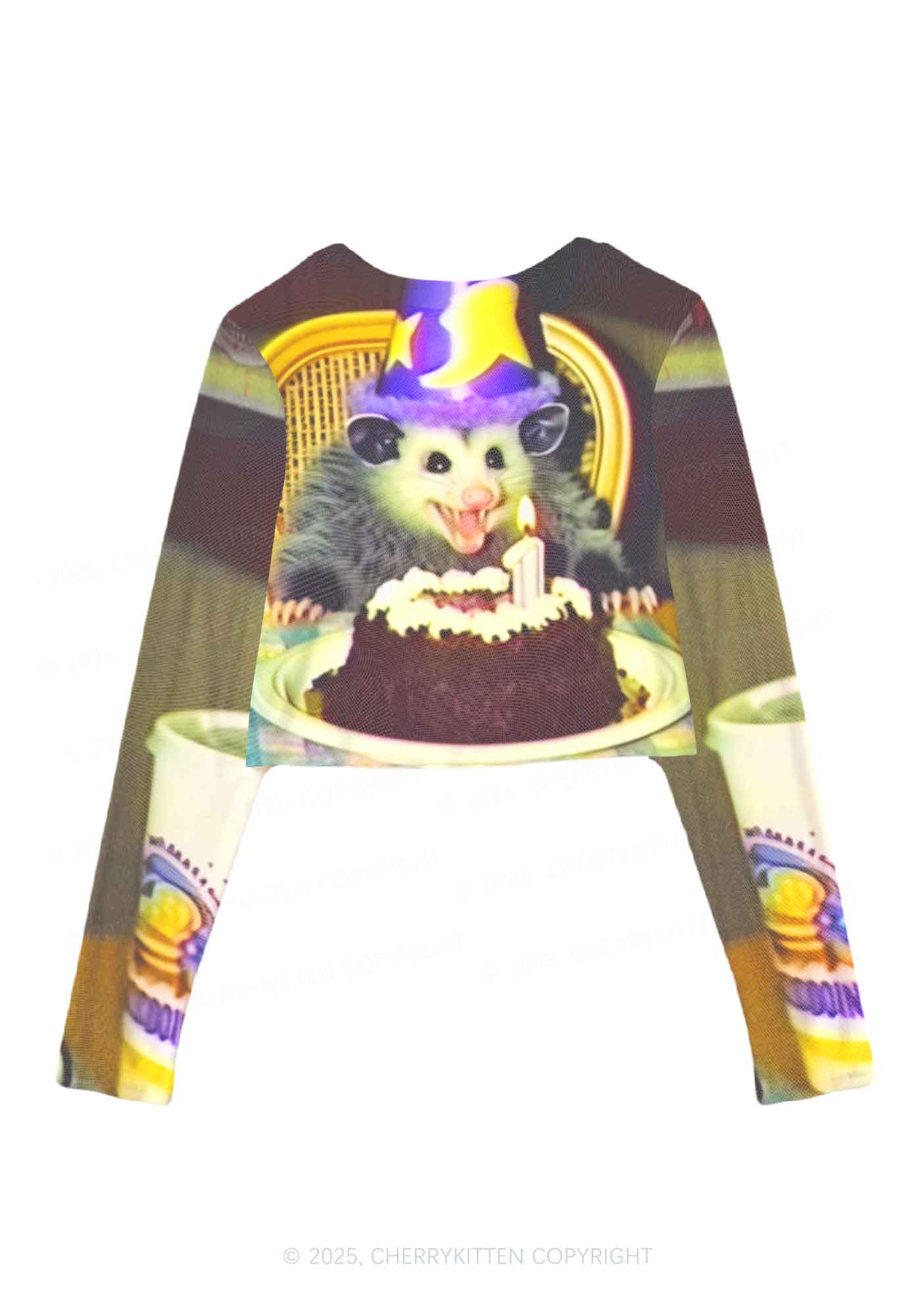 Birthday Rat Y2K Mesh Long Sleeve Crop Top Cherrykitten - Image 2
