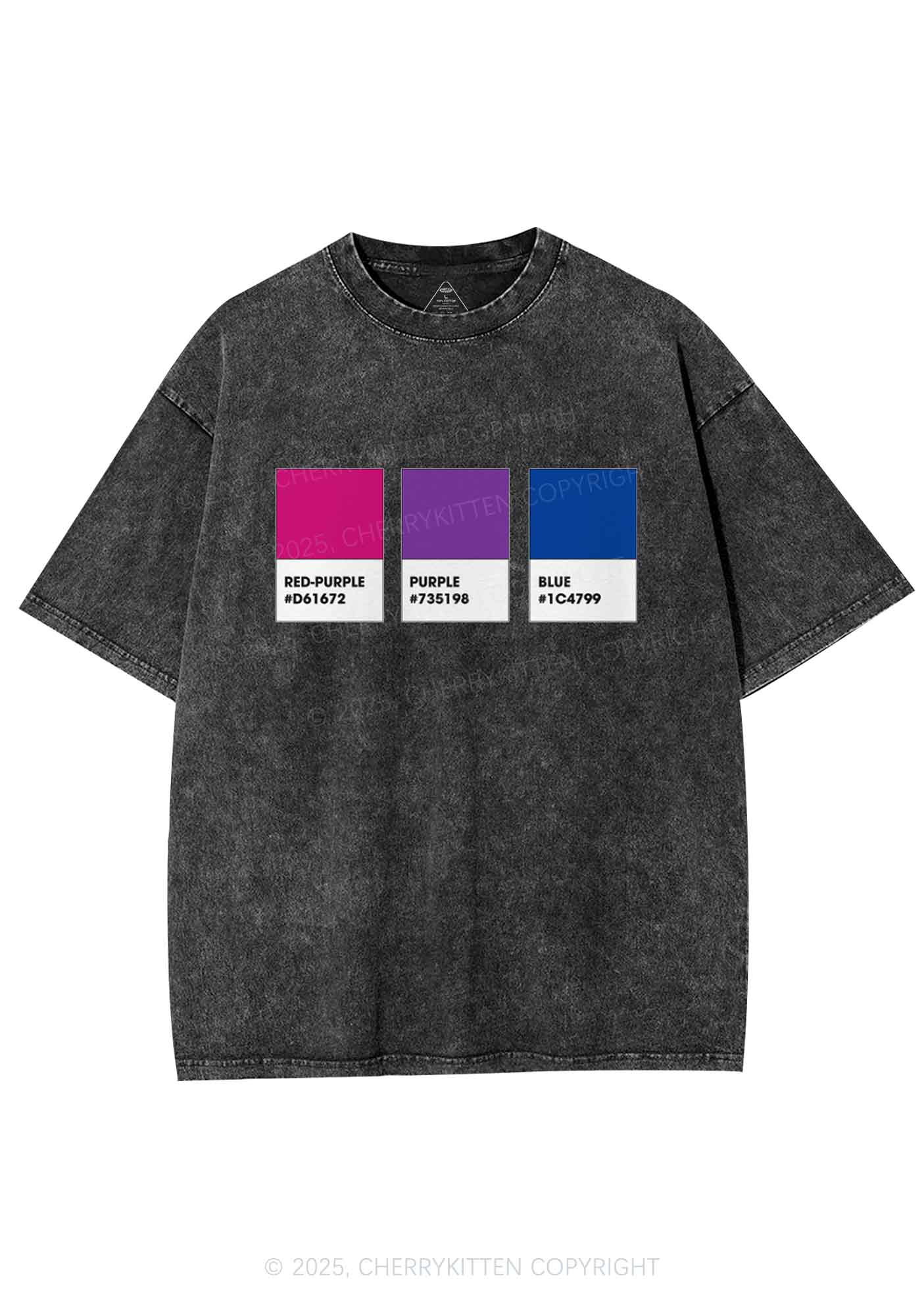 Bisexual Flag Colors Pride Y2K Shirts Washed Tee Cherrykitten - Image 3