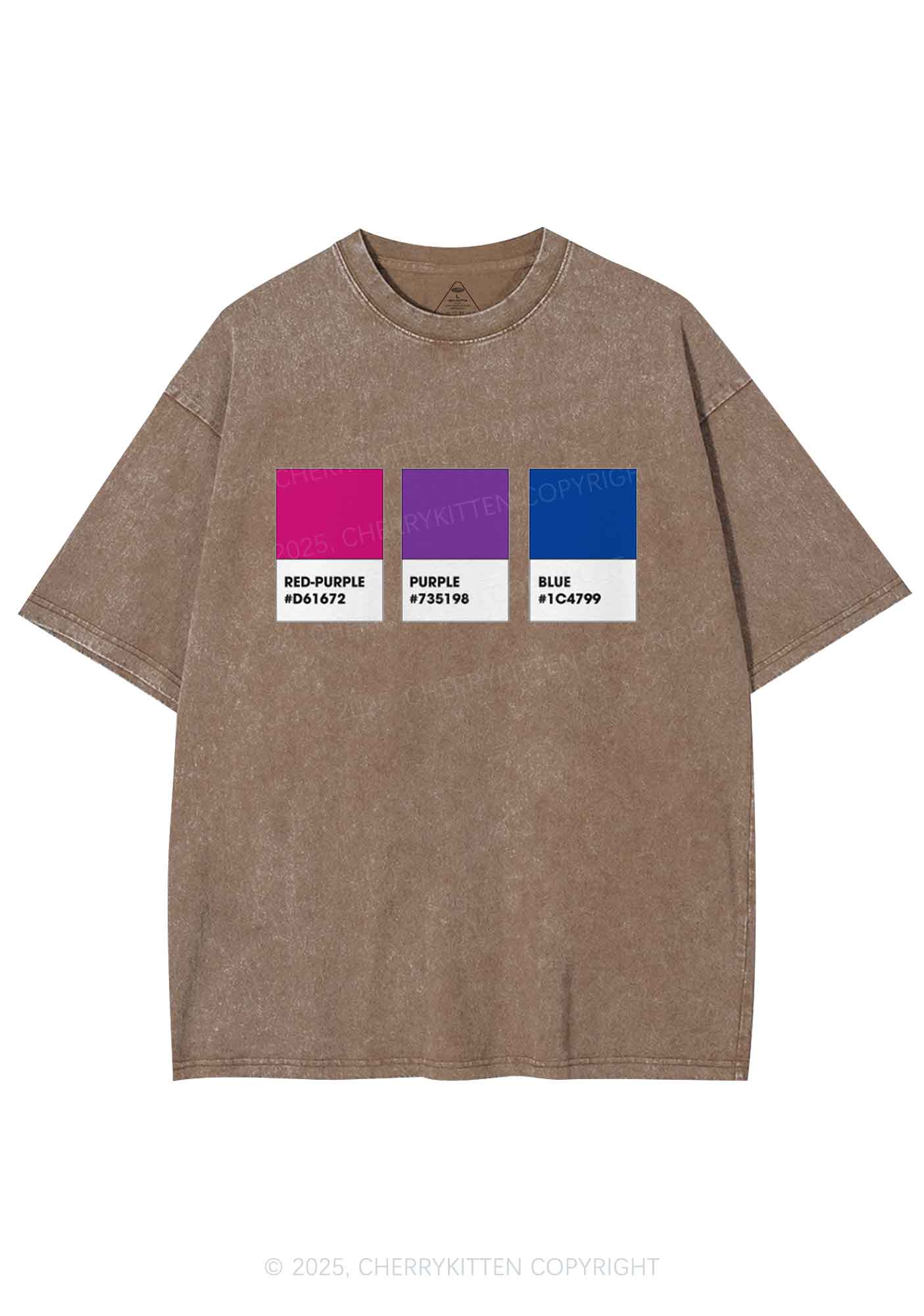 Bisexual Flag Colors Pride Y2K Shirts Washed Tee Cherrykitten - Image 6