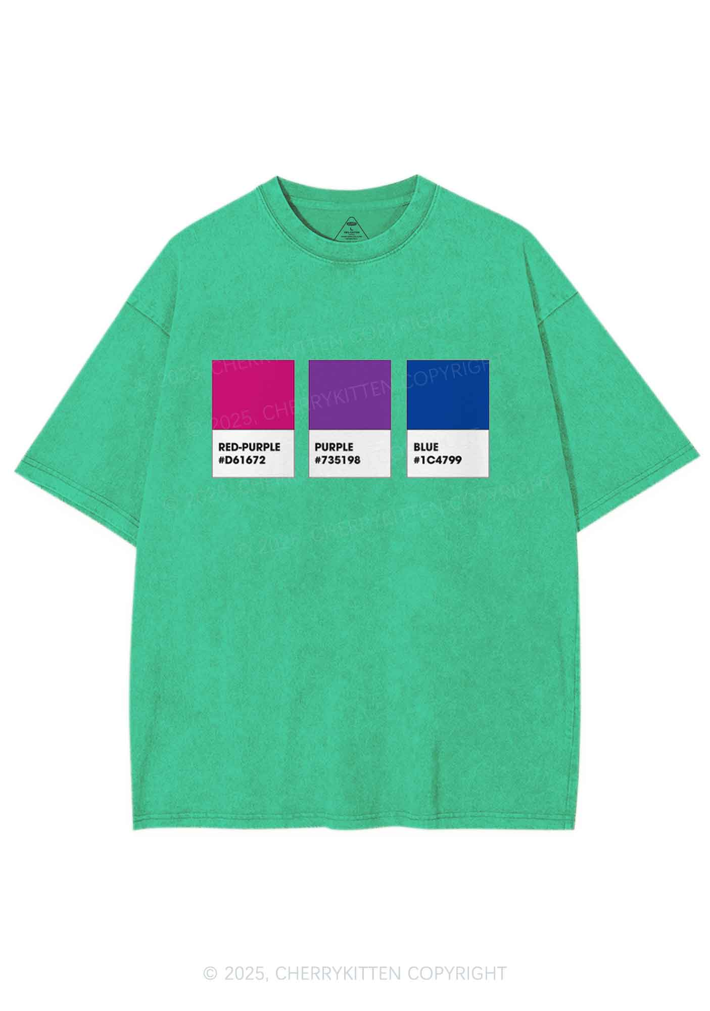 Bisexual Flag Colors Pride Y2K Shirts Washed Tee Cherrykitten - Image 8