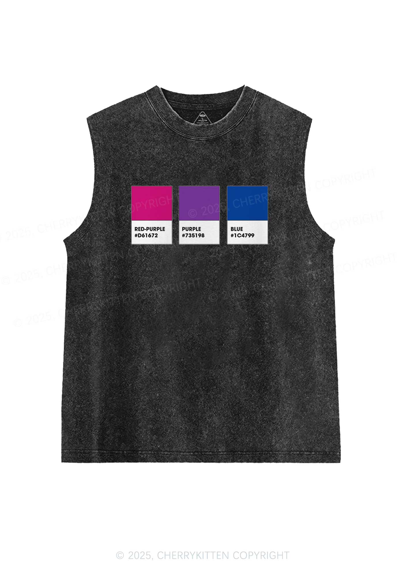 Bisexual Flag Colors Pride Y2K Washed Muscle Tank Cherrykitten - Image 3