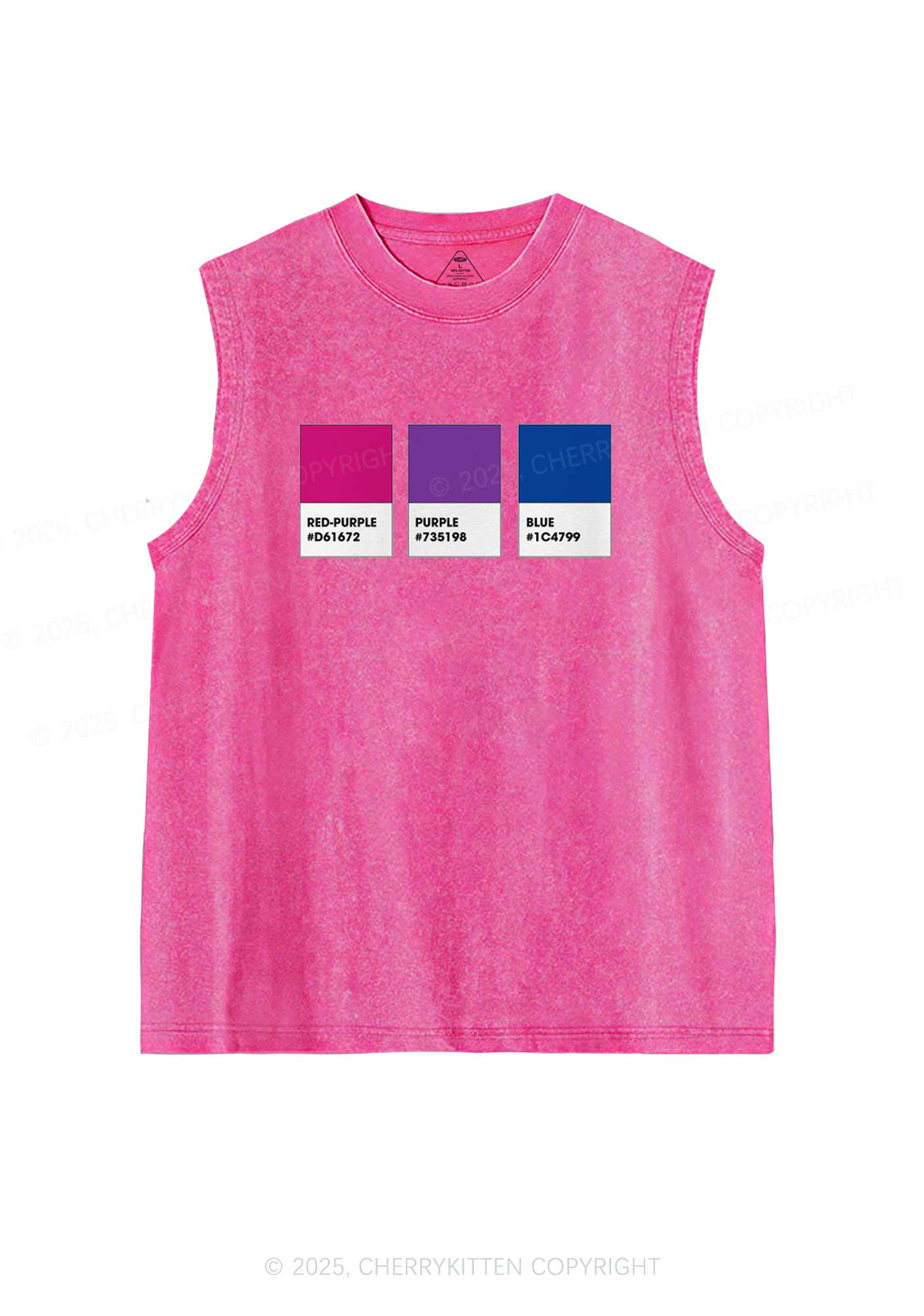 Bisexual Flag Colors Pride Y2K Washed Muscle Tank Cherrykitten - Image 4