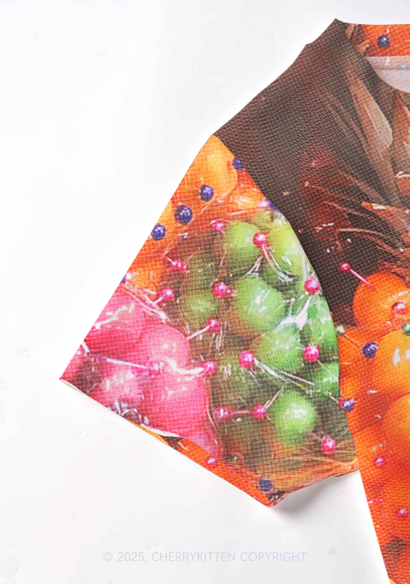 Bisexual Fruit Pride Y2K Mesh Crop Top Cherrykitten - Image 3