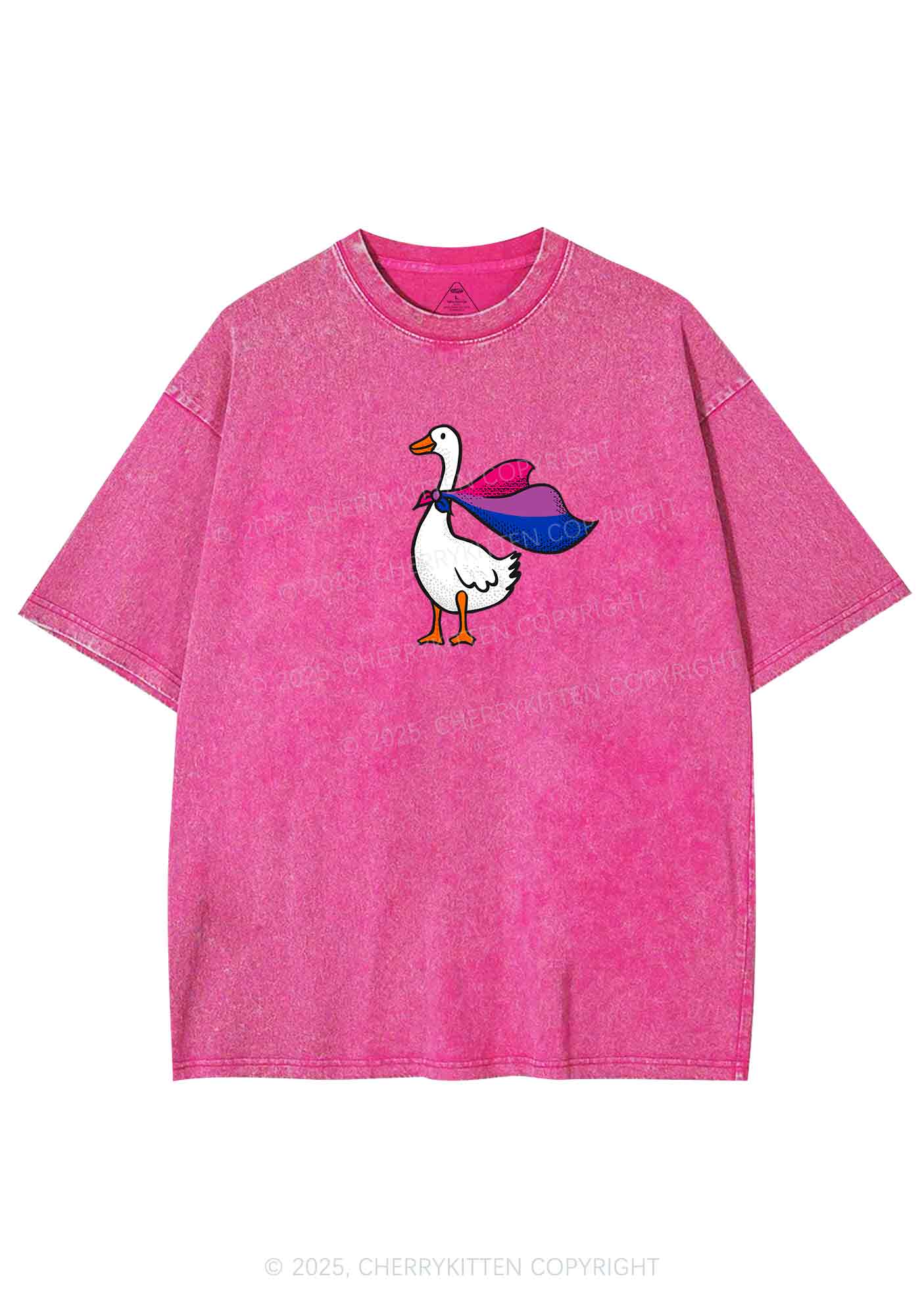 Bisexual Goose Pride Y2K Shirts Washed Tee Cherrykitten - Image 4