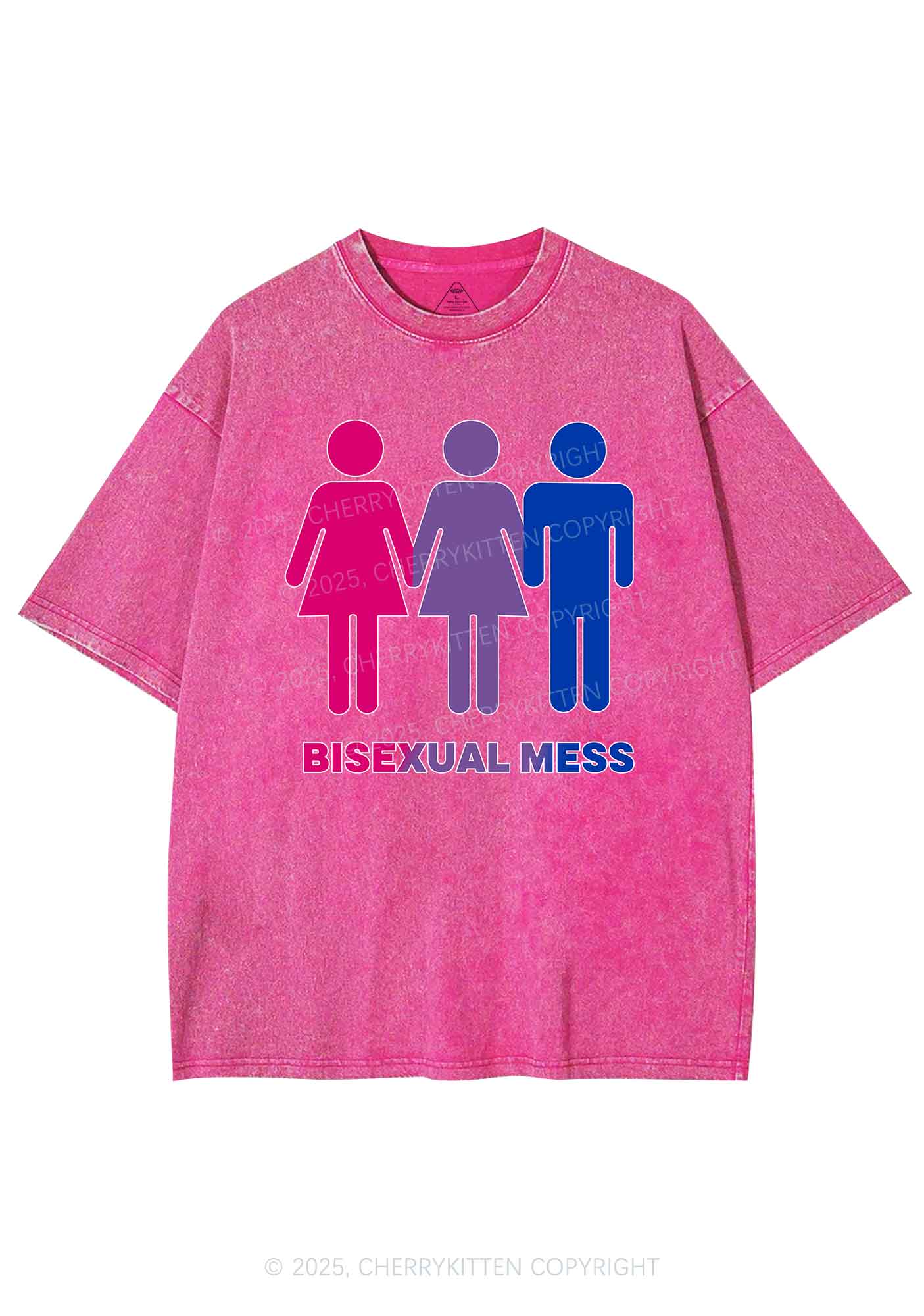 Bisexual Mess Love Pride Y2K Shirts Washed Tee Cherrykitten - Image 4