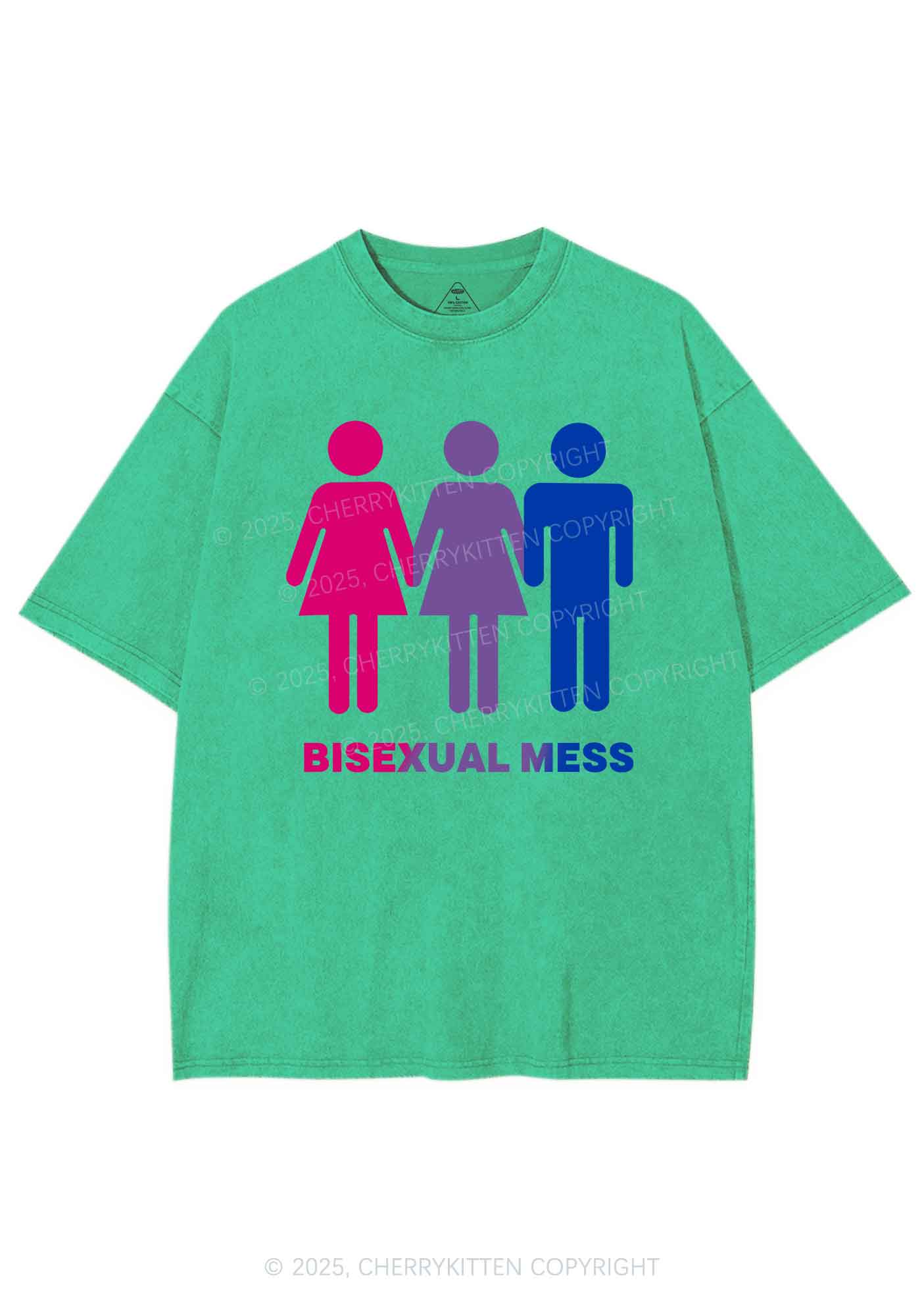 Bisexual Mess Love Pride Y2K Shirts Washed Tee Cherrykitten - Image 8