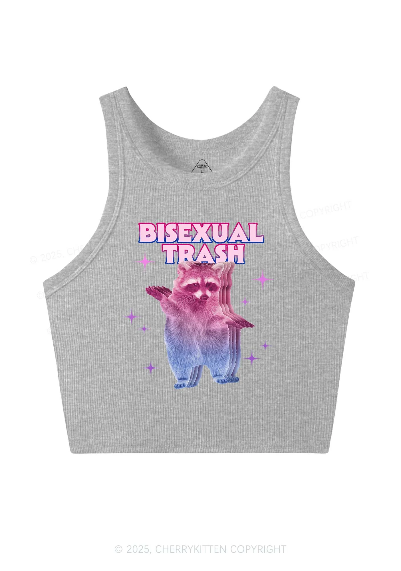 Bisexual Trash Raccoon Pride Y2K Crop Tank Top Cherrykitten - Image 4