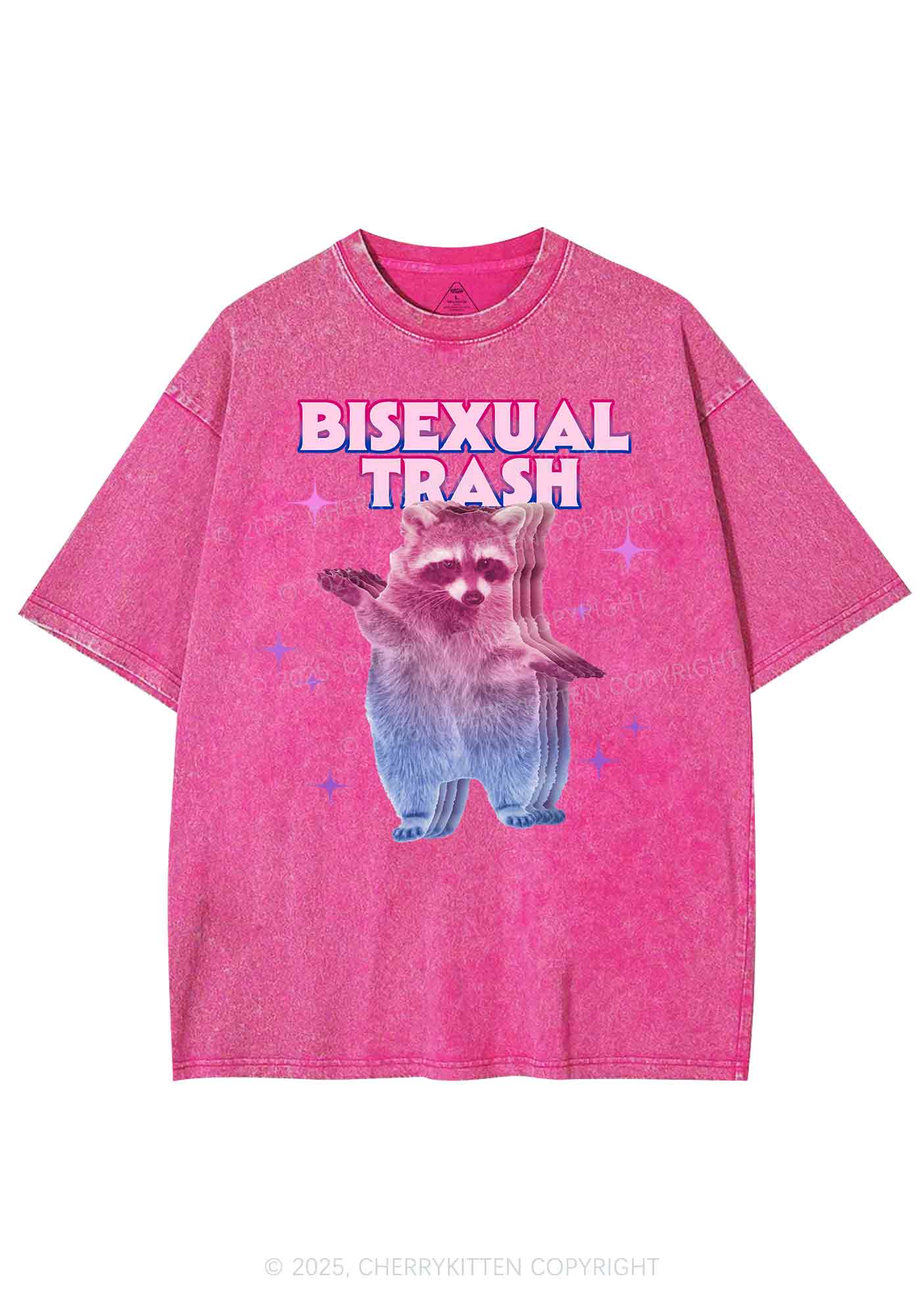 Bisexual Trash Raccoon Pride Y2K Shirts Washed Tee Cherrykitten - Image 3