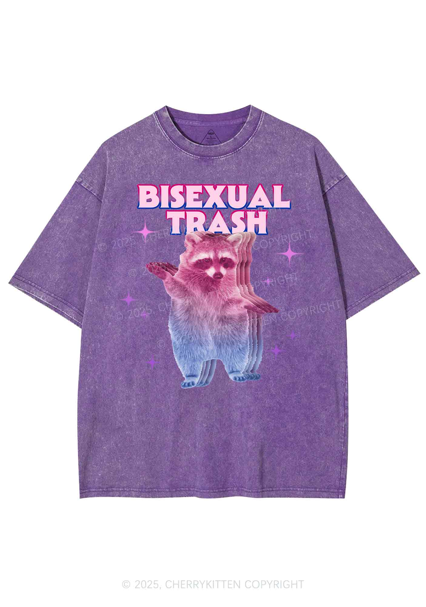 Bisexual Trash Raccoon Pride Y2K Shirts Washed Tee Cherrykitten - Image 4