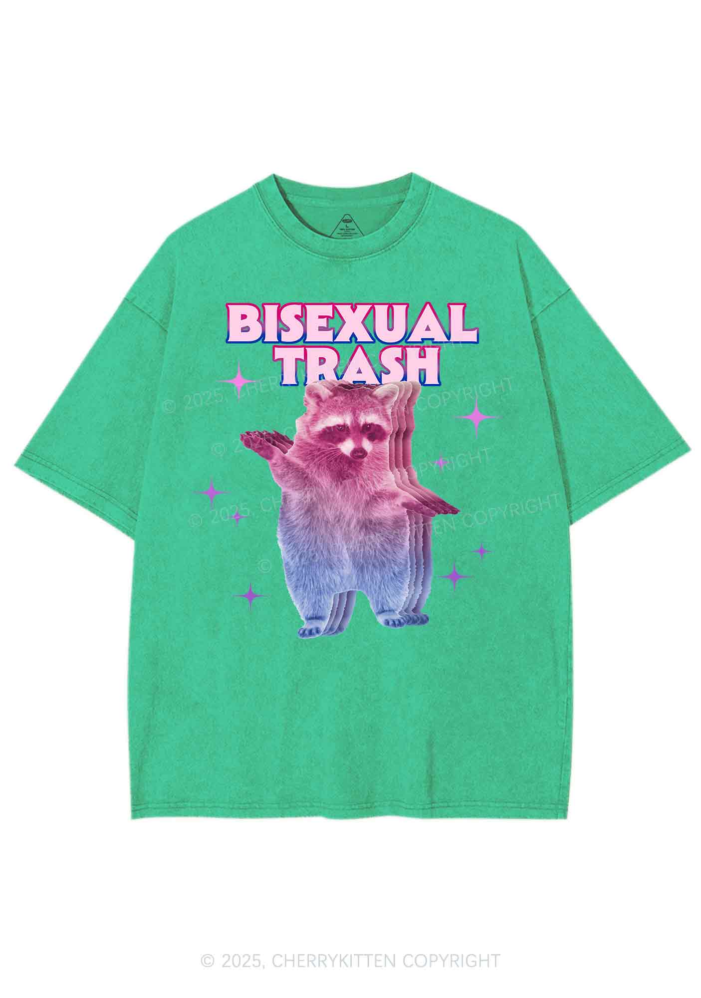 Bisexual Trash Raccoon Pride Y2K Shirts Washed Tee Cherrykitten - Image 8