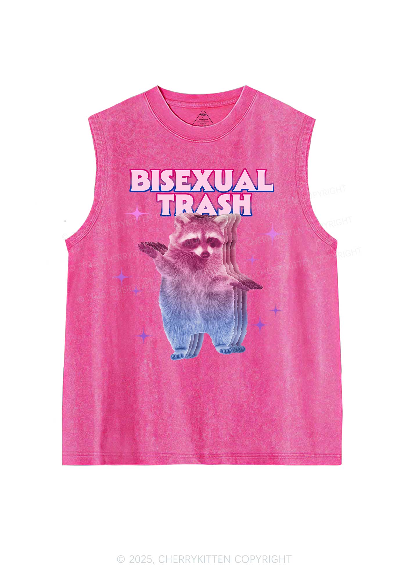 Bisexual Trash Raccoon Pride Y2K Washed Muscle Tank Cherrykitten - Image 3