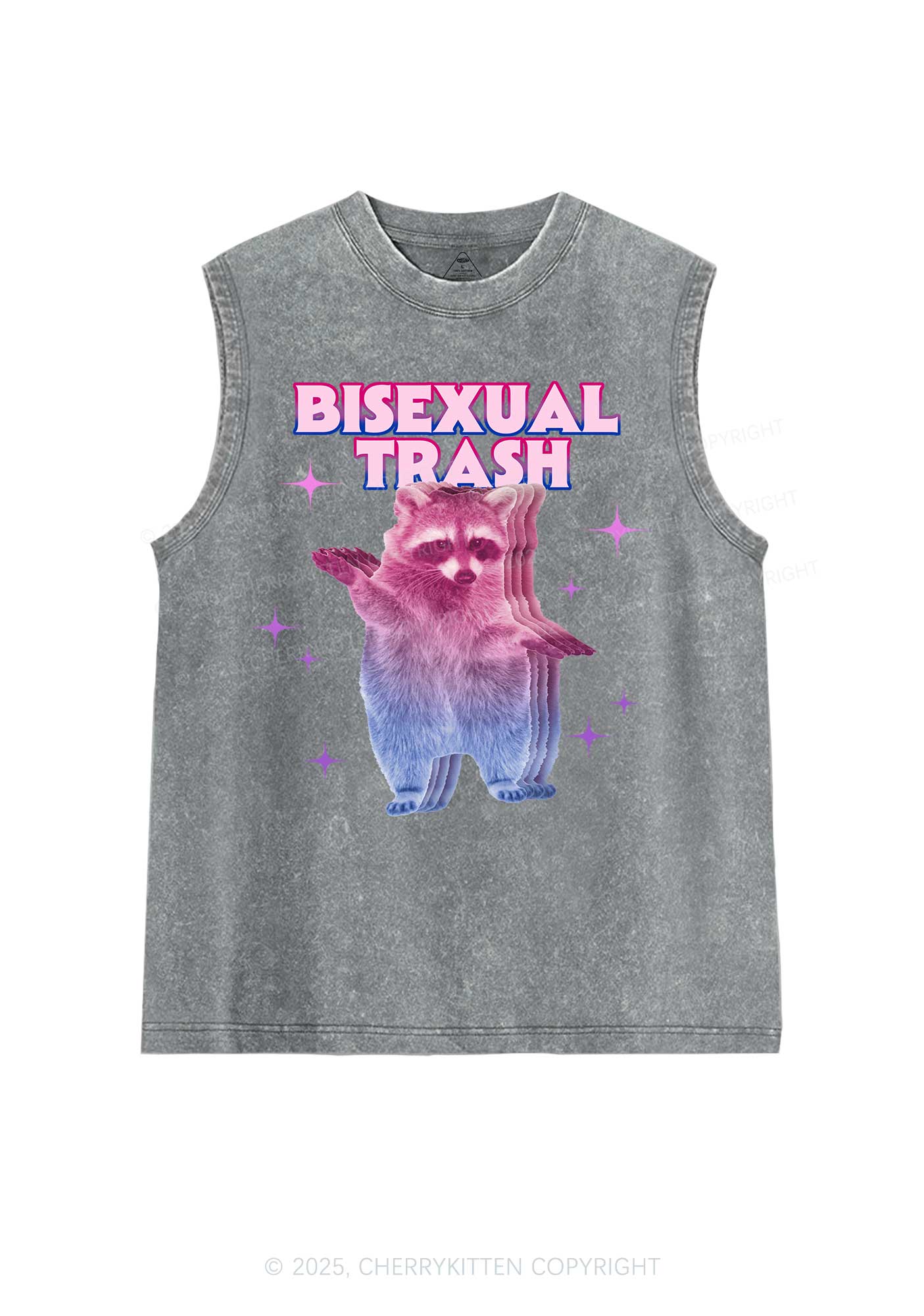 Bisexual Trash Raccoon Pride Y2K Washed Muscle Tank Cherrykitten - Image 5