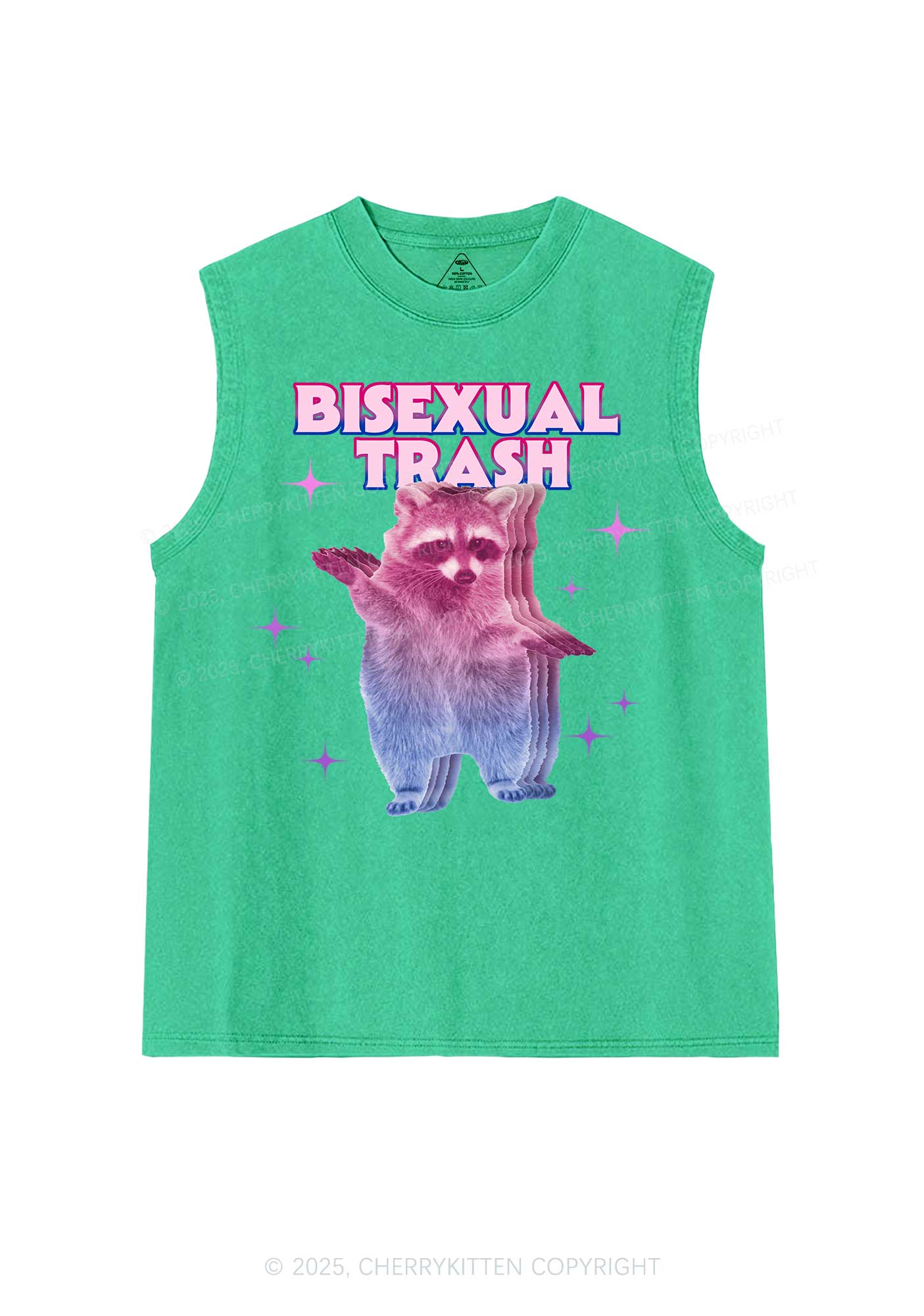 Bisexual Trash Raccoon Pride Y2K Washed Muscle Tank Cherrykitten - Image 7