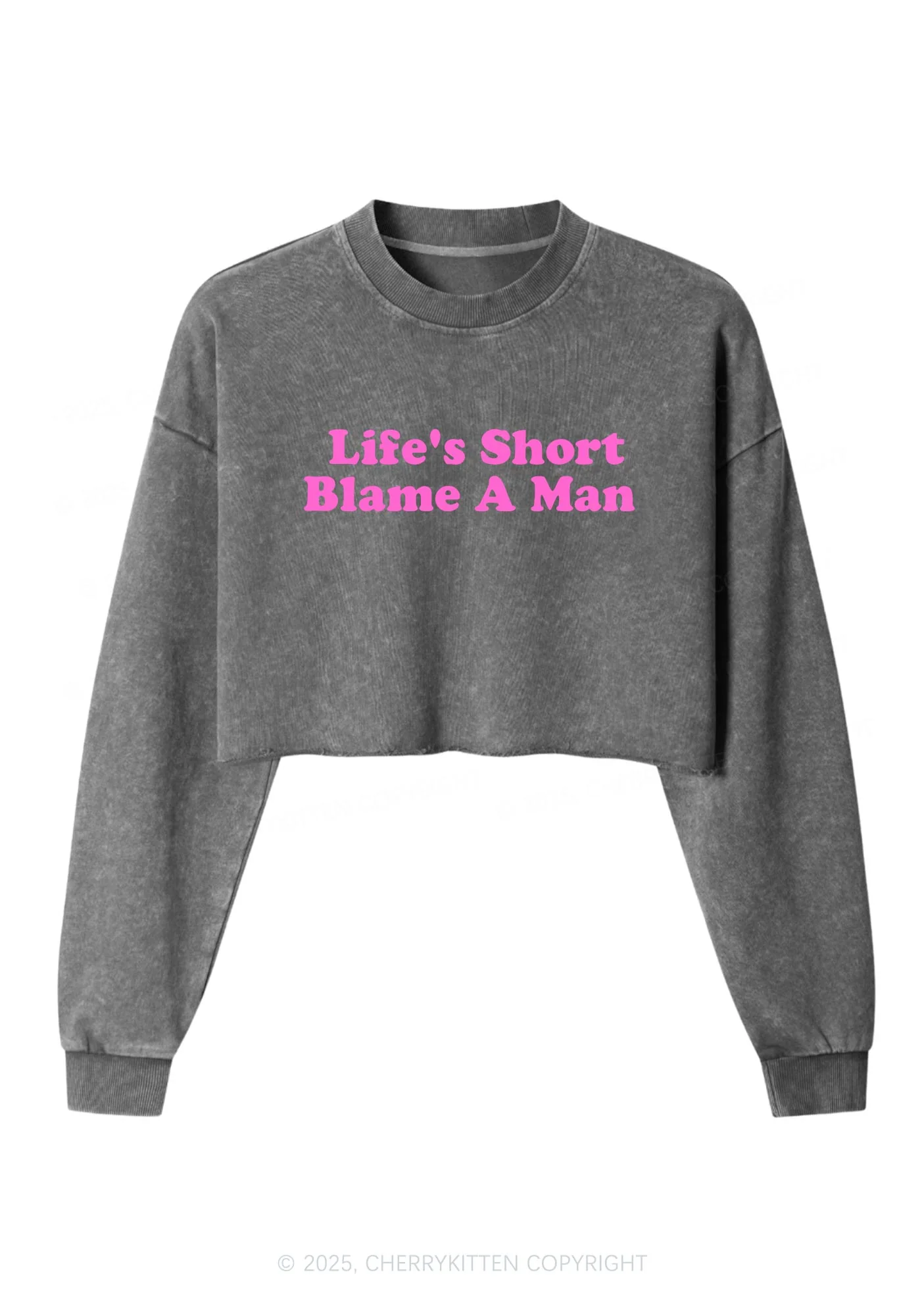 Blame A Man Y2K Crop Washed Sweatshirts Cherrykitten - Image 4