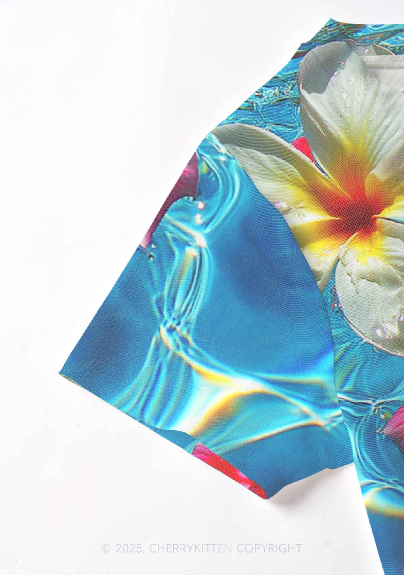 Blooming Floral Y2K Mesh Crop Top Cherrykitten - Image 4