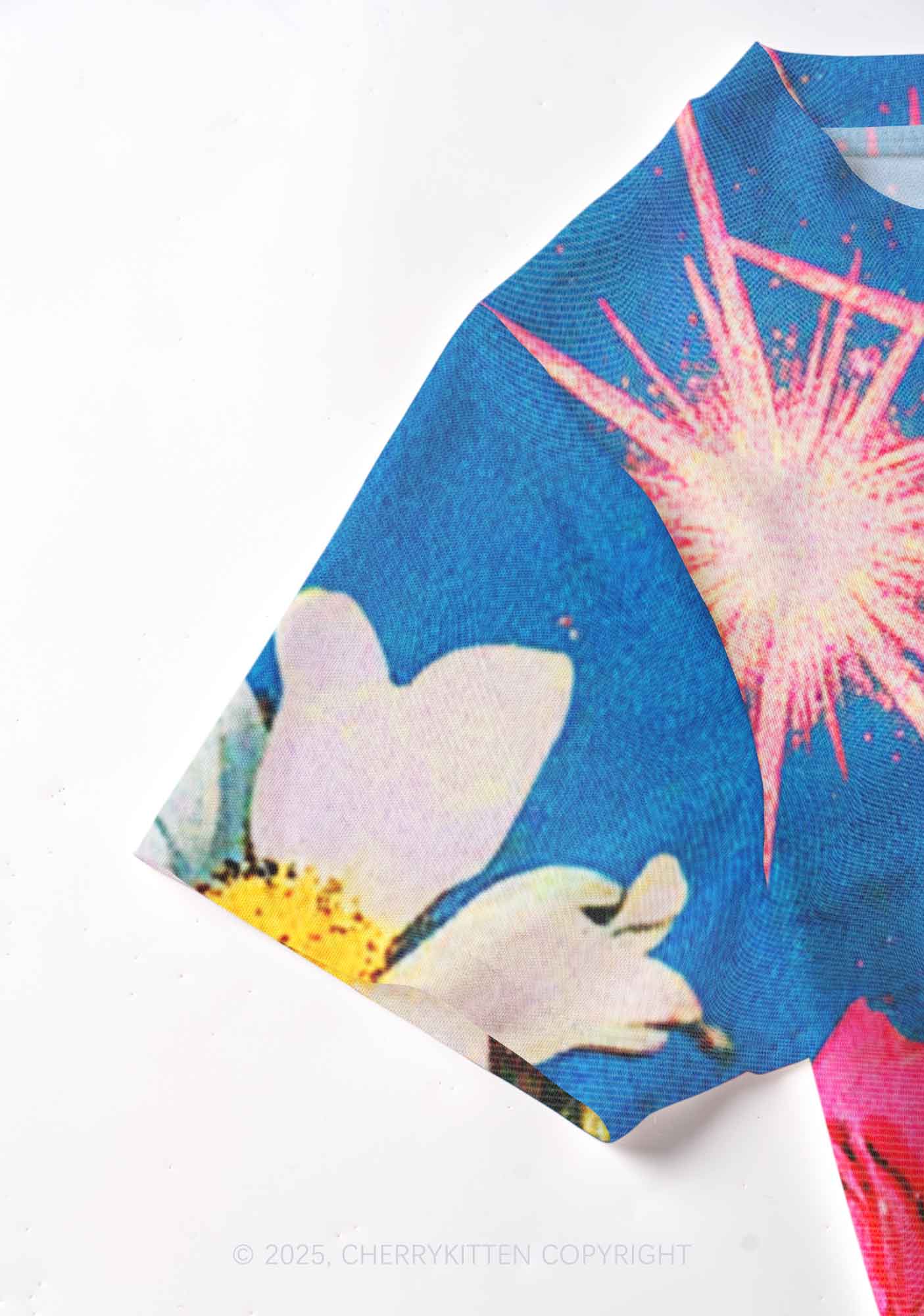 Blooming Flowers Y2K Mesh Crop Top Cherrykitten - Image 4