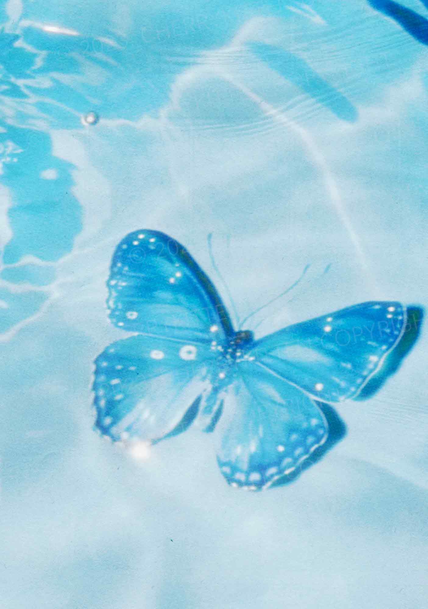 Blue Butterfly Y2K Phone Case Cherrykitten - Image 2