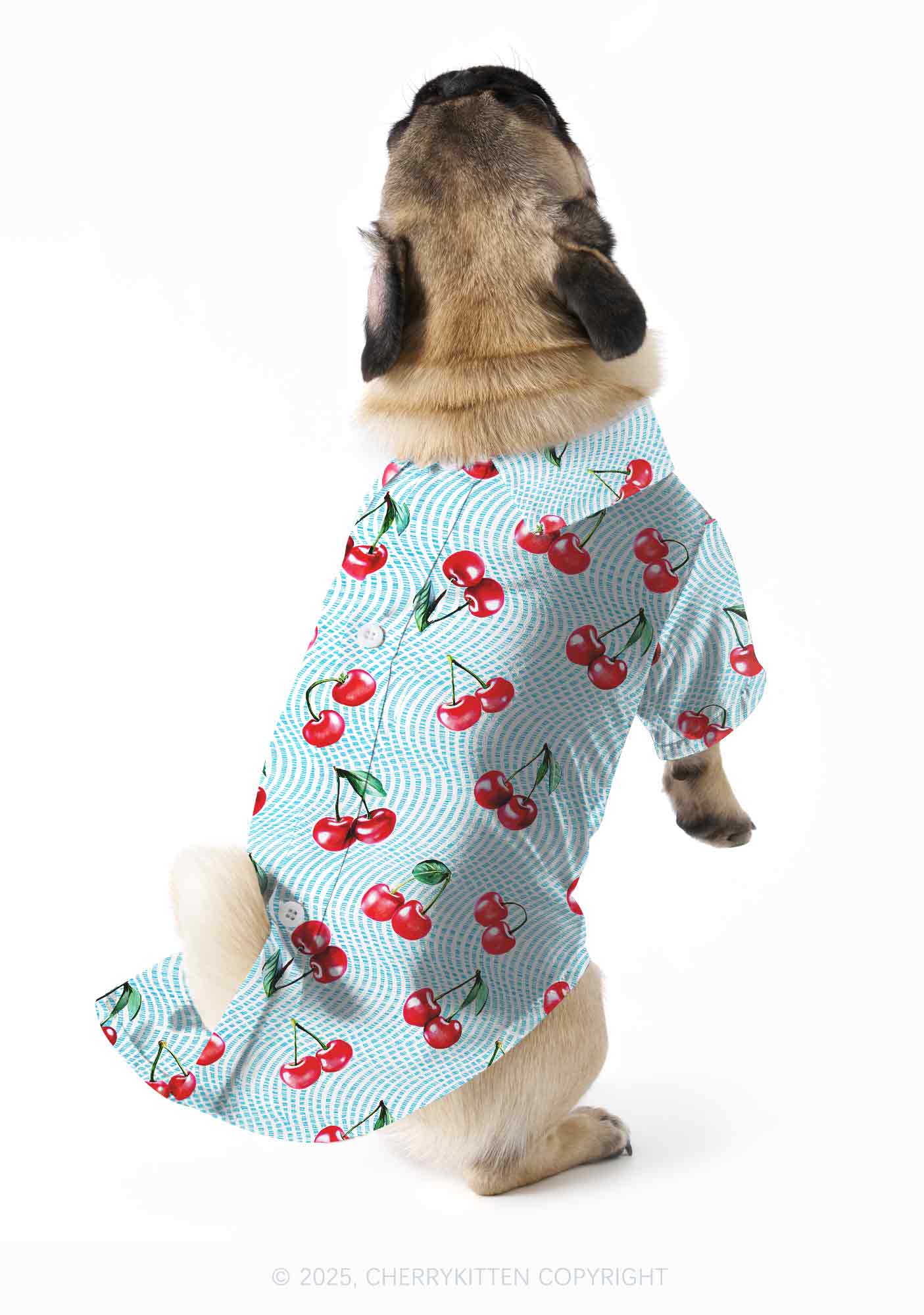 Blue Cherry Y2K Pet Shirts Cherrykitten - Image 2